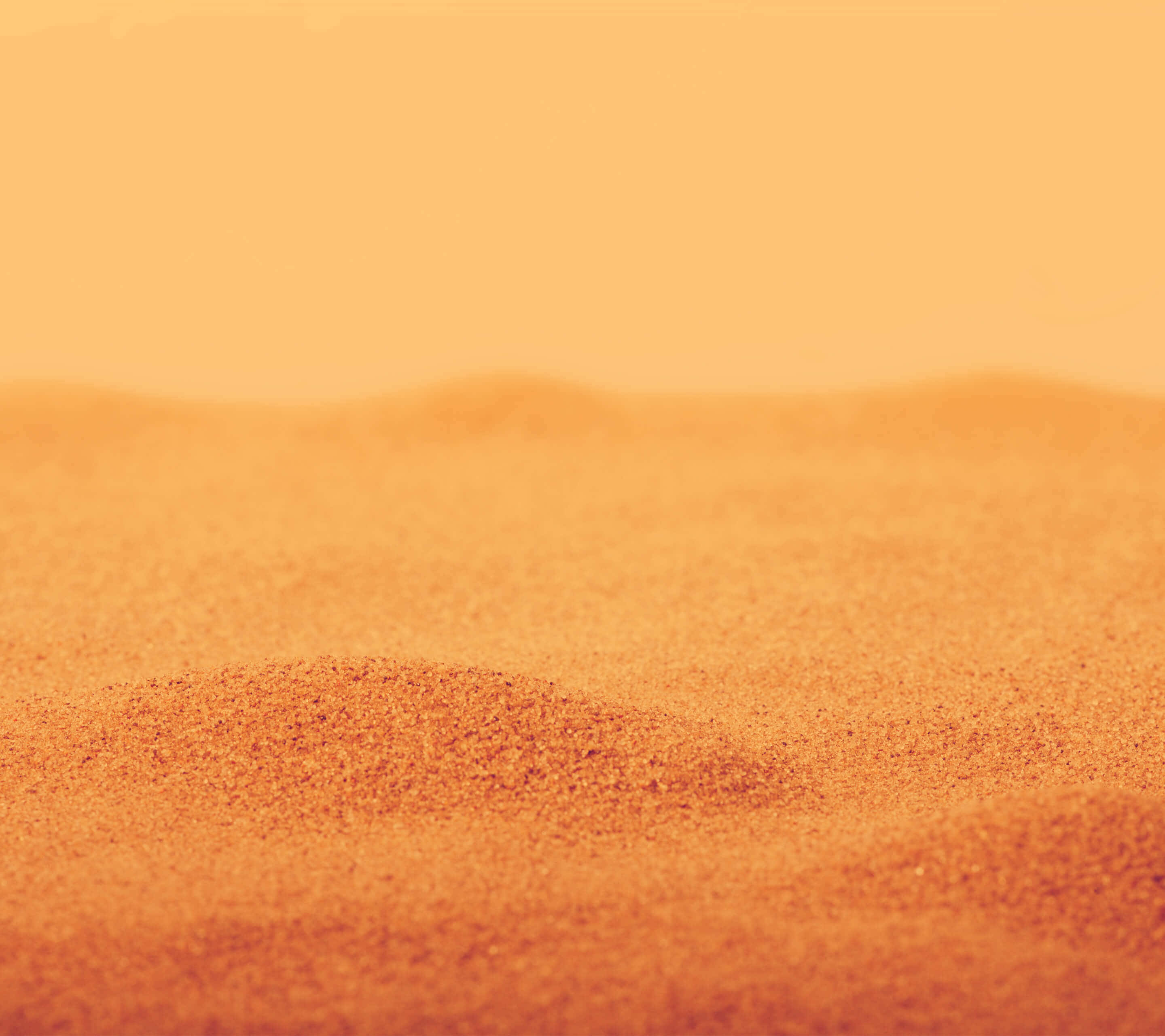 orange sand dunes, hazy golden sky, soft focus background, 2K Desktop Wallpaper