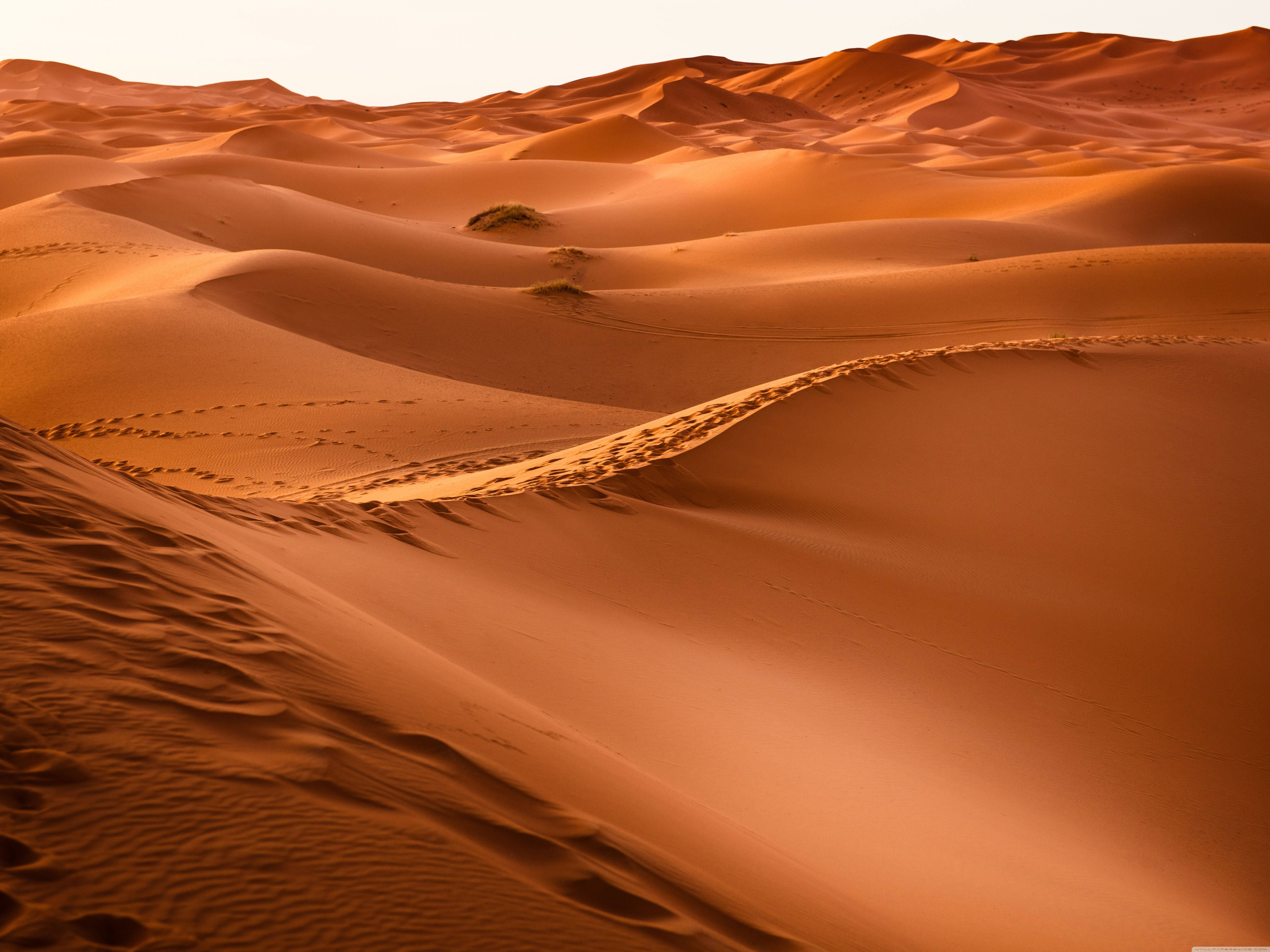 Golden sand dunes, warm sunset light, footprints, 5K Desktop Wallpaper