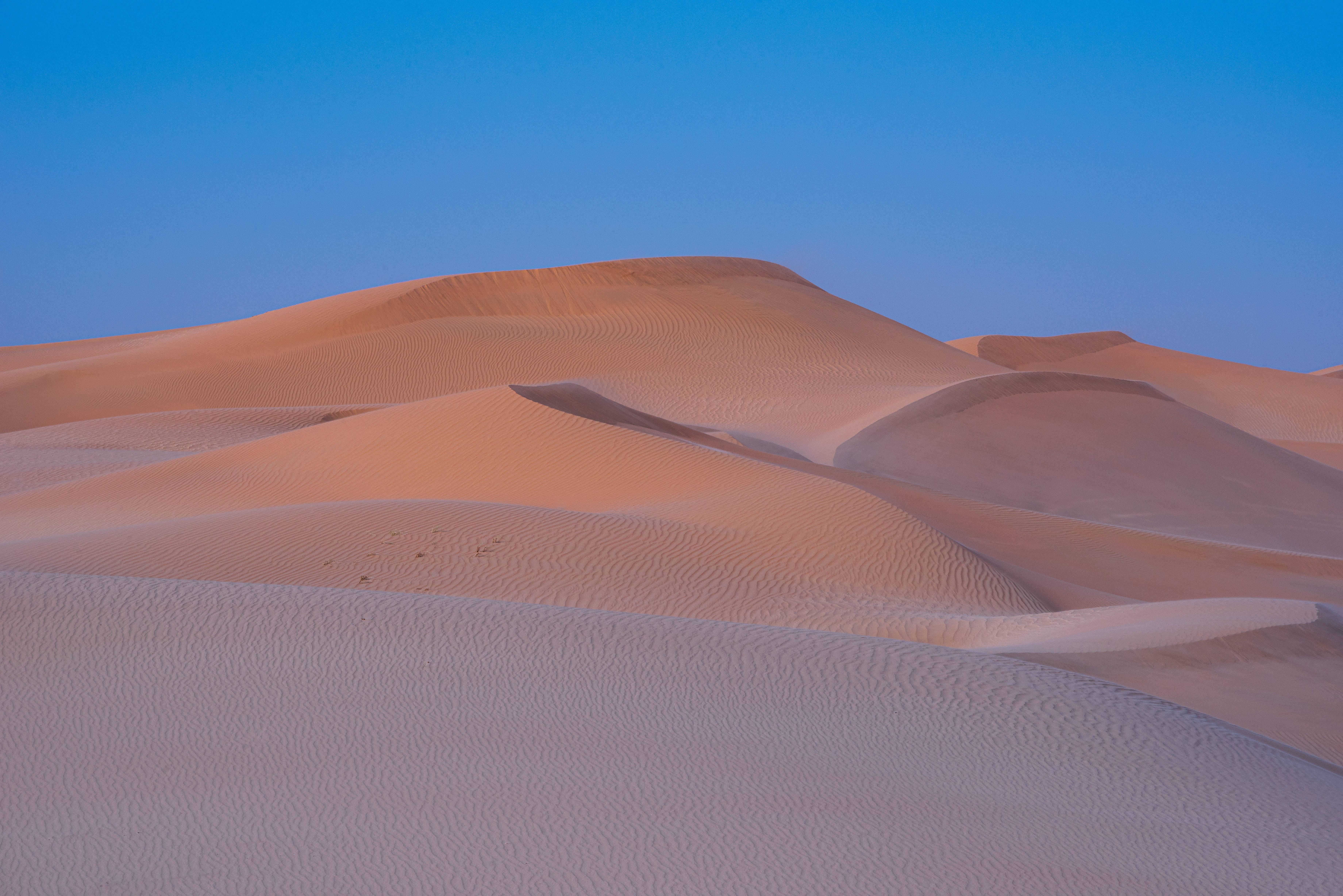 desert, golden sand dunes, blue sky, 5K Desktop Wallpaper