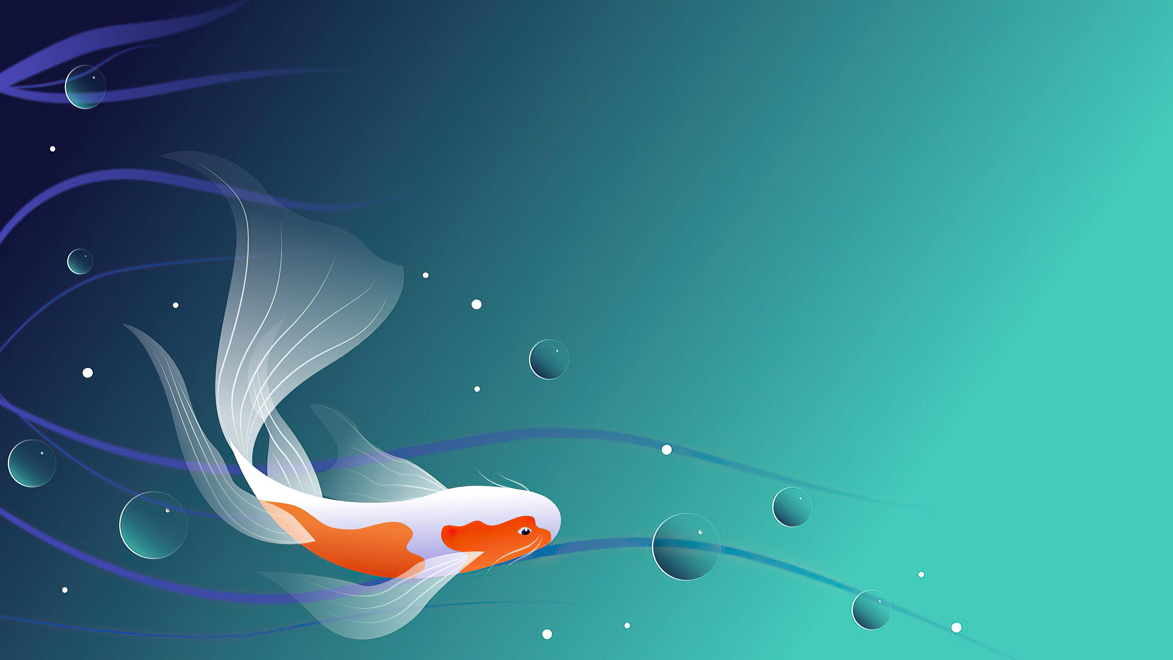 minimalist koi design, white and orange koi fish, flowing blue currents, 4K Desktop Wallpaper