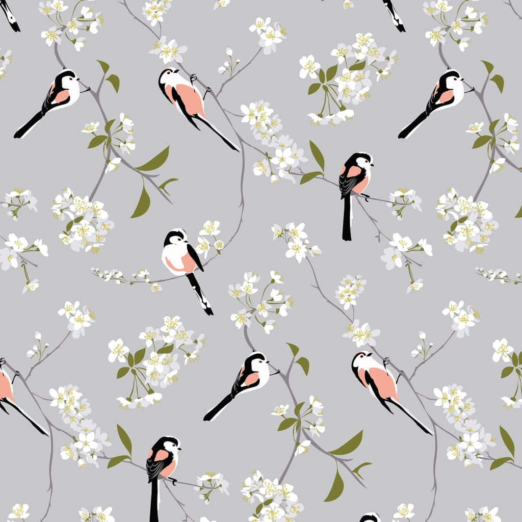 Designer, blossom, bird, SD Desktop Wallpaper