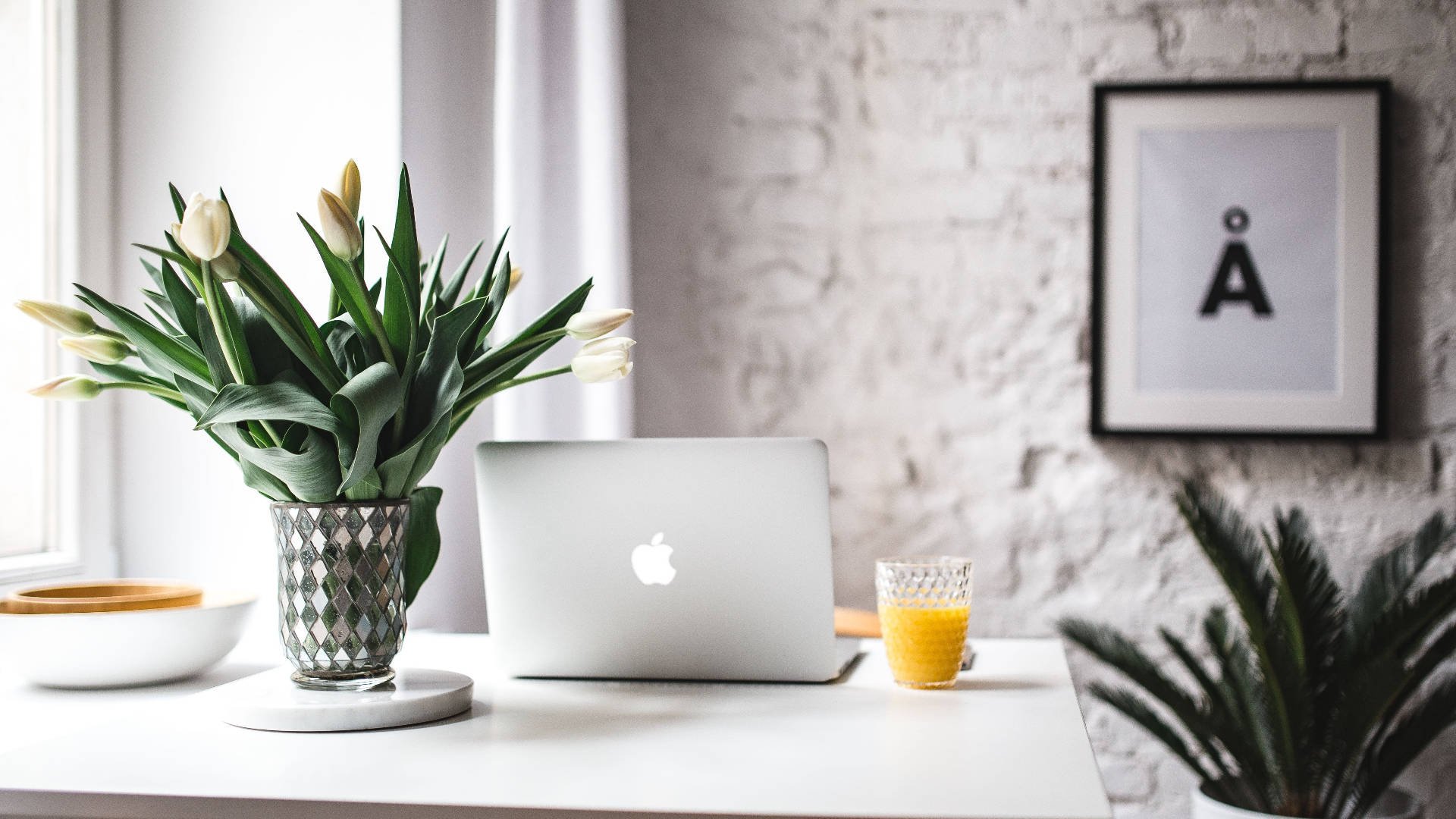 Breakfast Desk, white, white tulips, Full HD Desktop Wallpaper