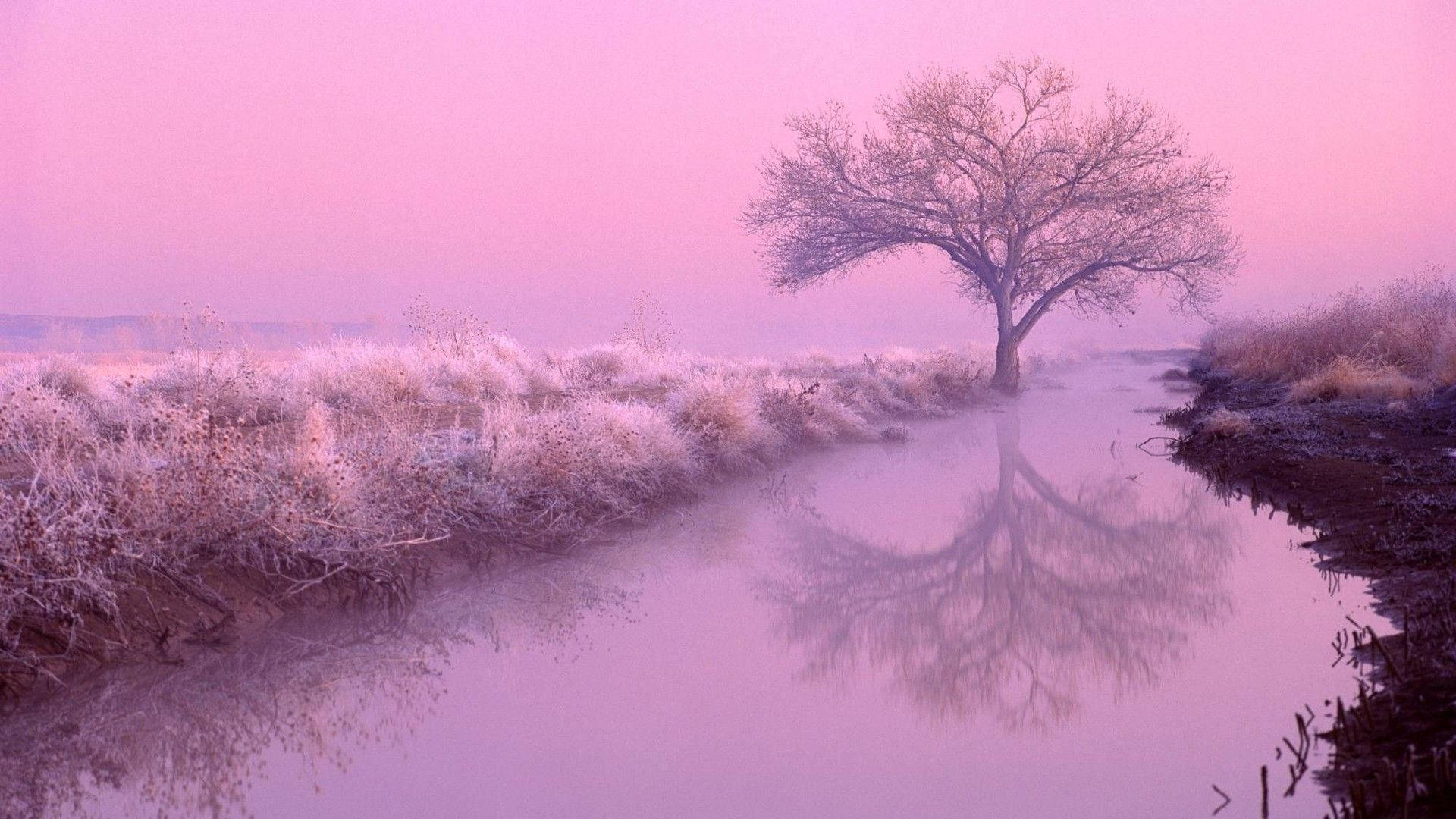 Desktop Aesthetic, sky, misty pink-hued marsh, Full HD Desktop Wallpaper