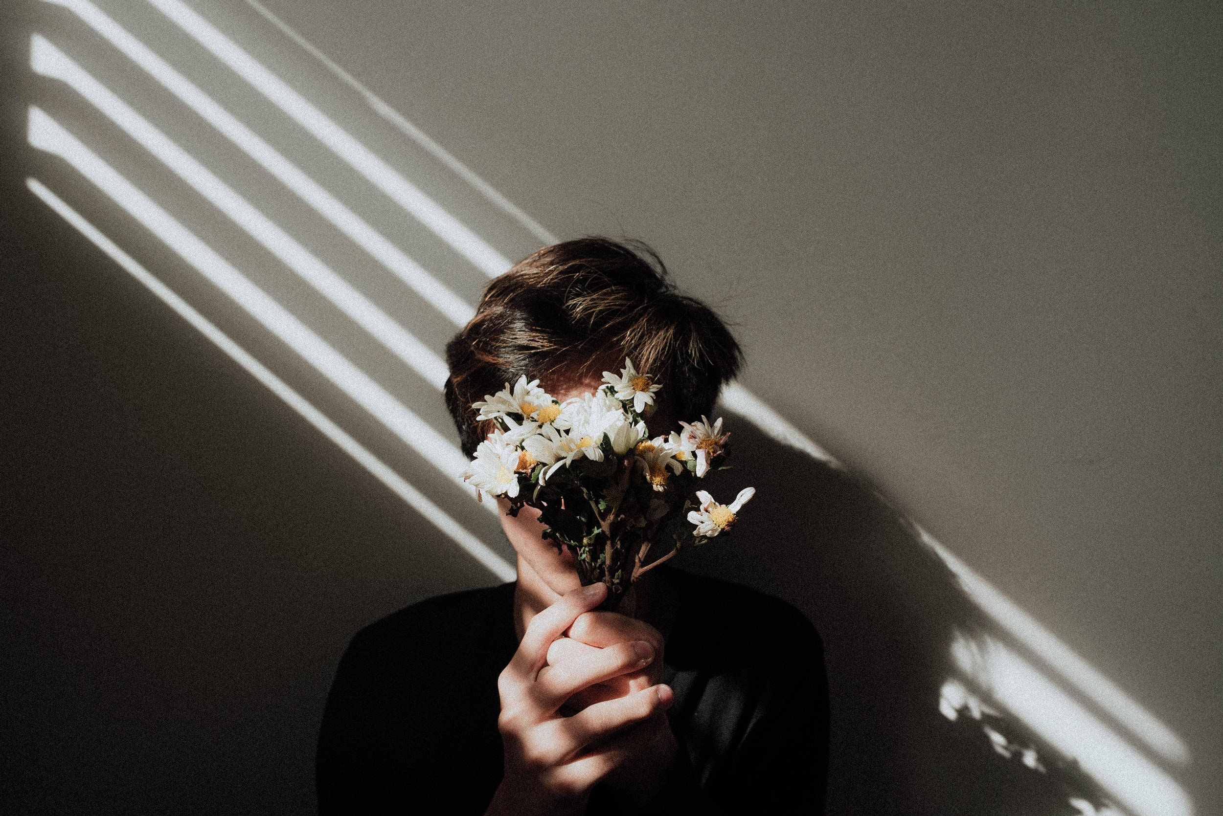 Desktop Aesthetic, white daisies, diagonal sunlight, Full HD Desktop Wallpaper