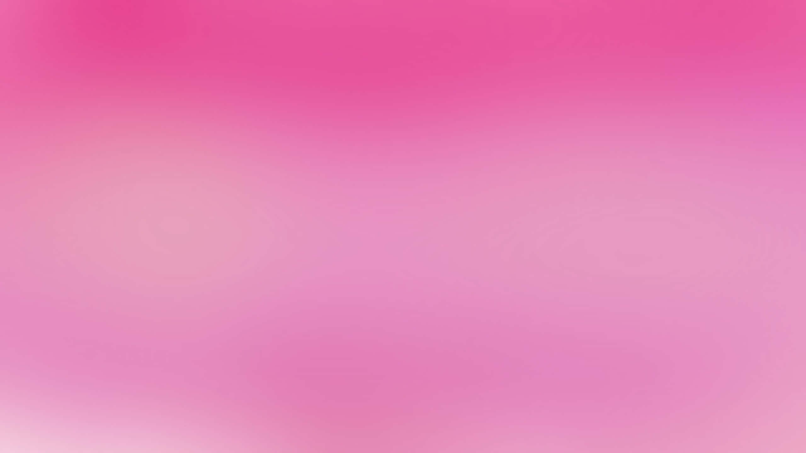 vibrant pink gradient, deep magenta, light blush, 2K Desktop Wallpaper