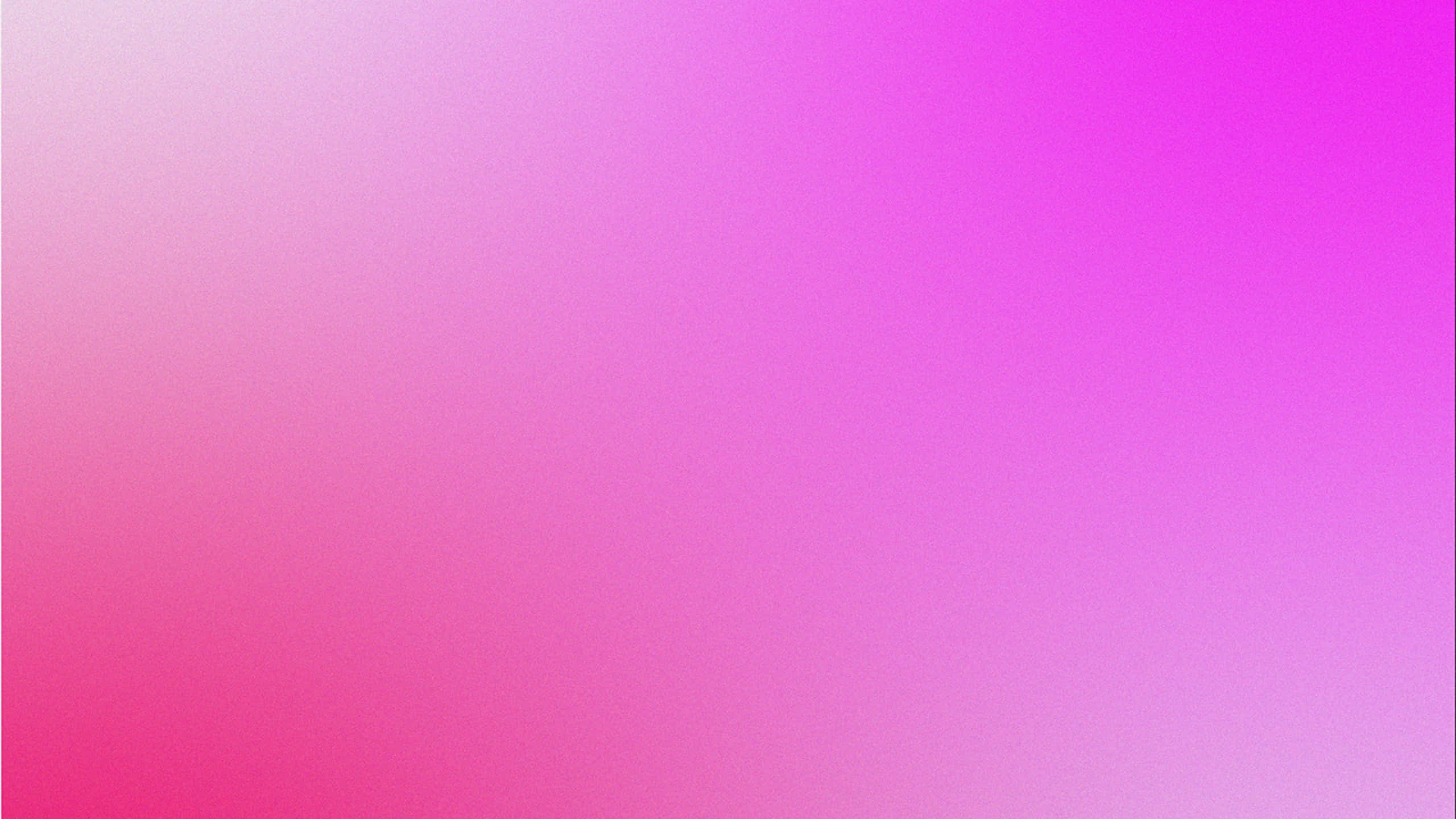 pink purple gradient, soft pink, vibrant magenta, 2K Desktop Wallpaper