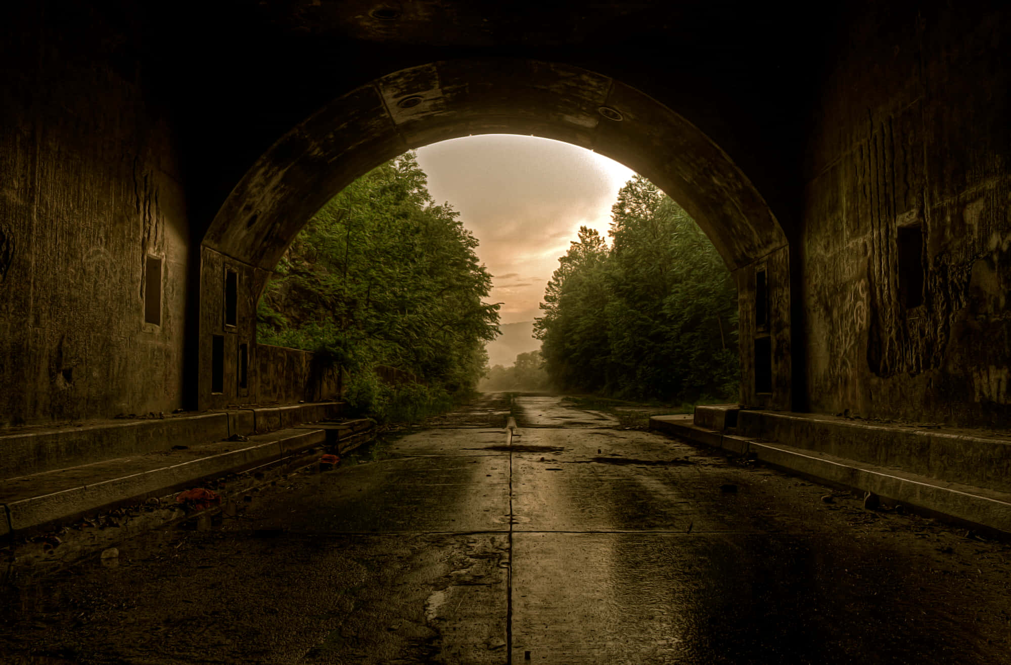 Desolate, tunnel passage, misty forest road, Full HD Desktop Wallpaper
