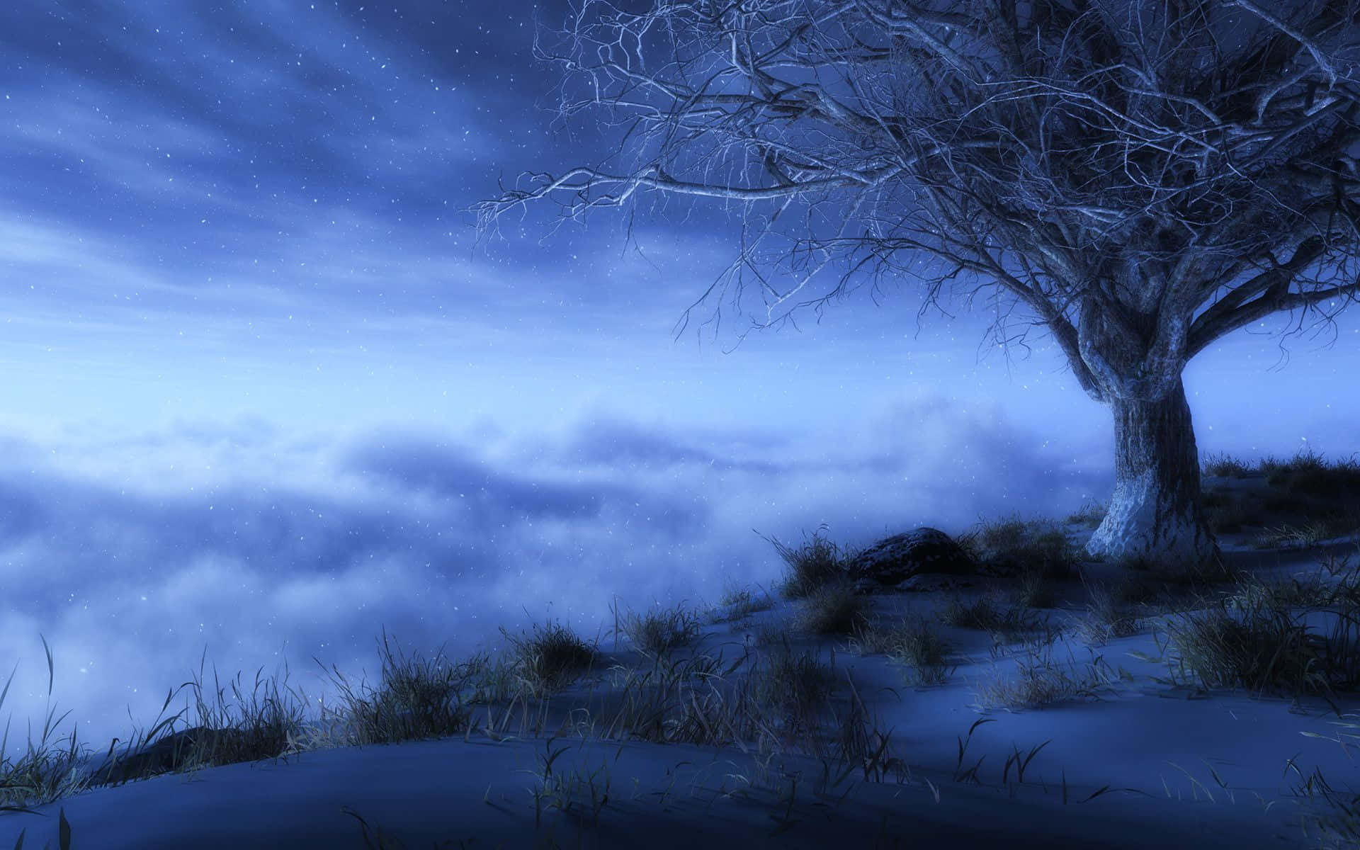 Desolate, magical forest, fog, Full HD Desktop Wallpaper