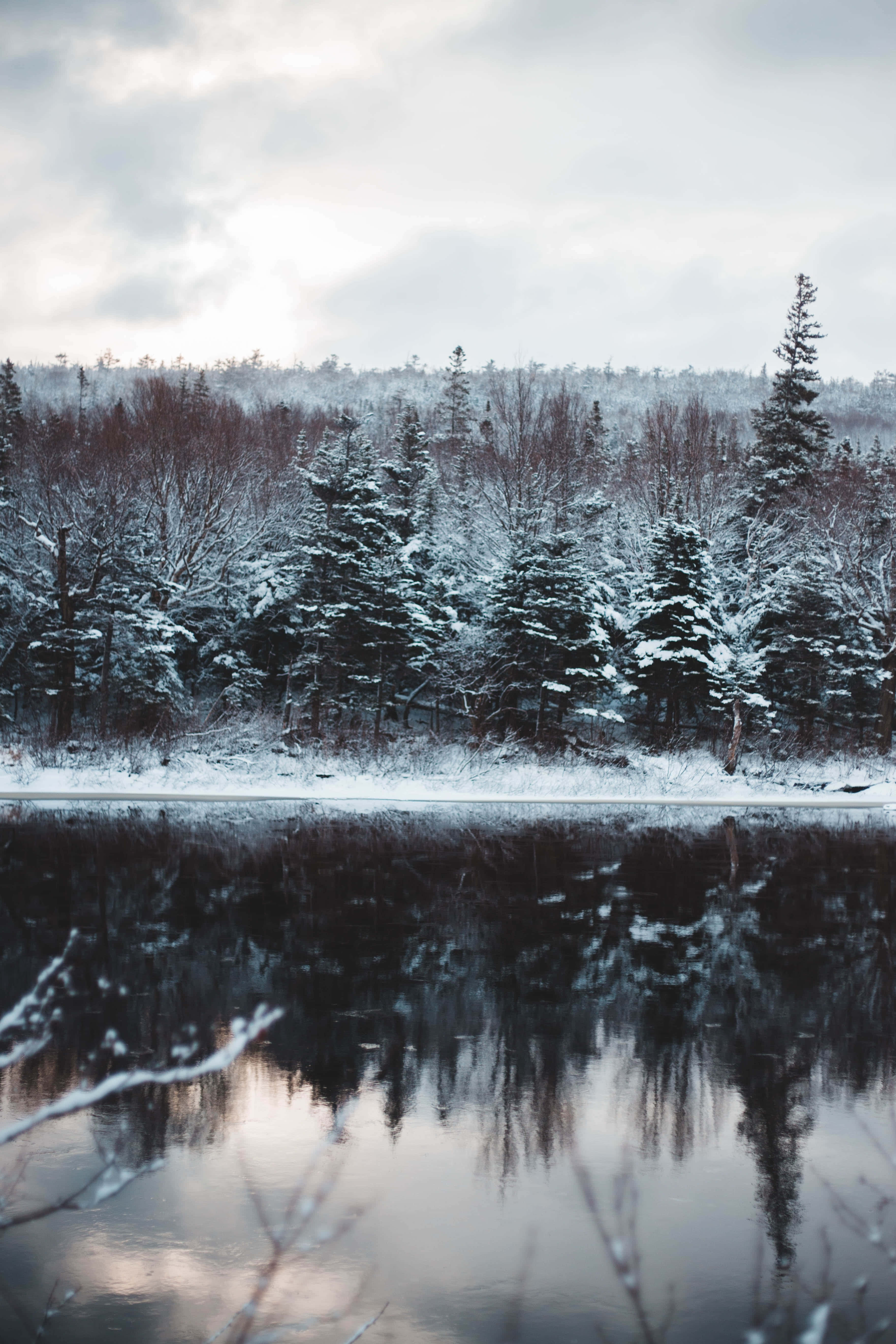 Desolate, stagnant water lake, snow, 5K Phone Wallpaper