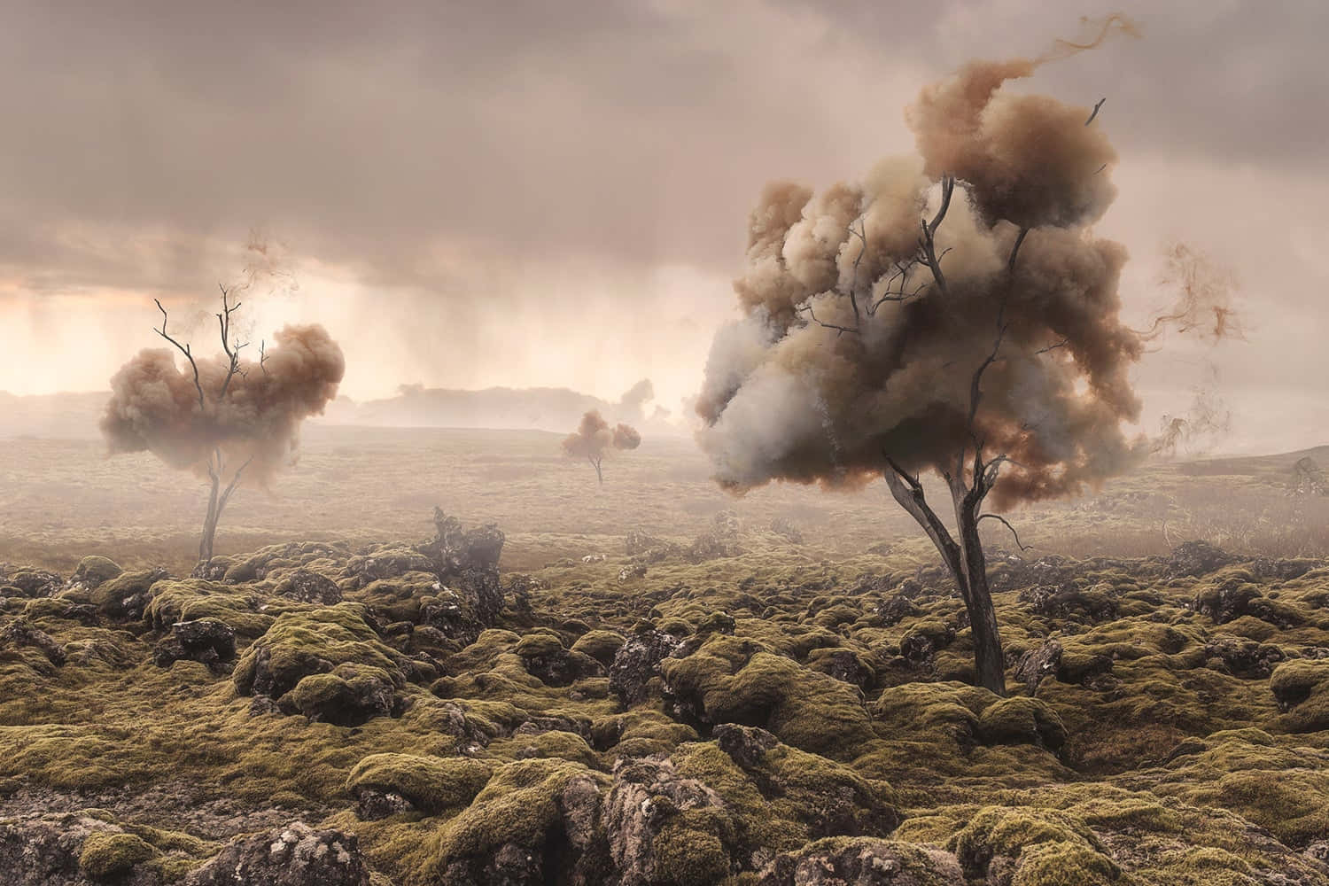 Desolate, lava fields, barren trees, HD Desktop Wallpaper