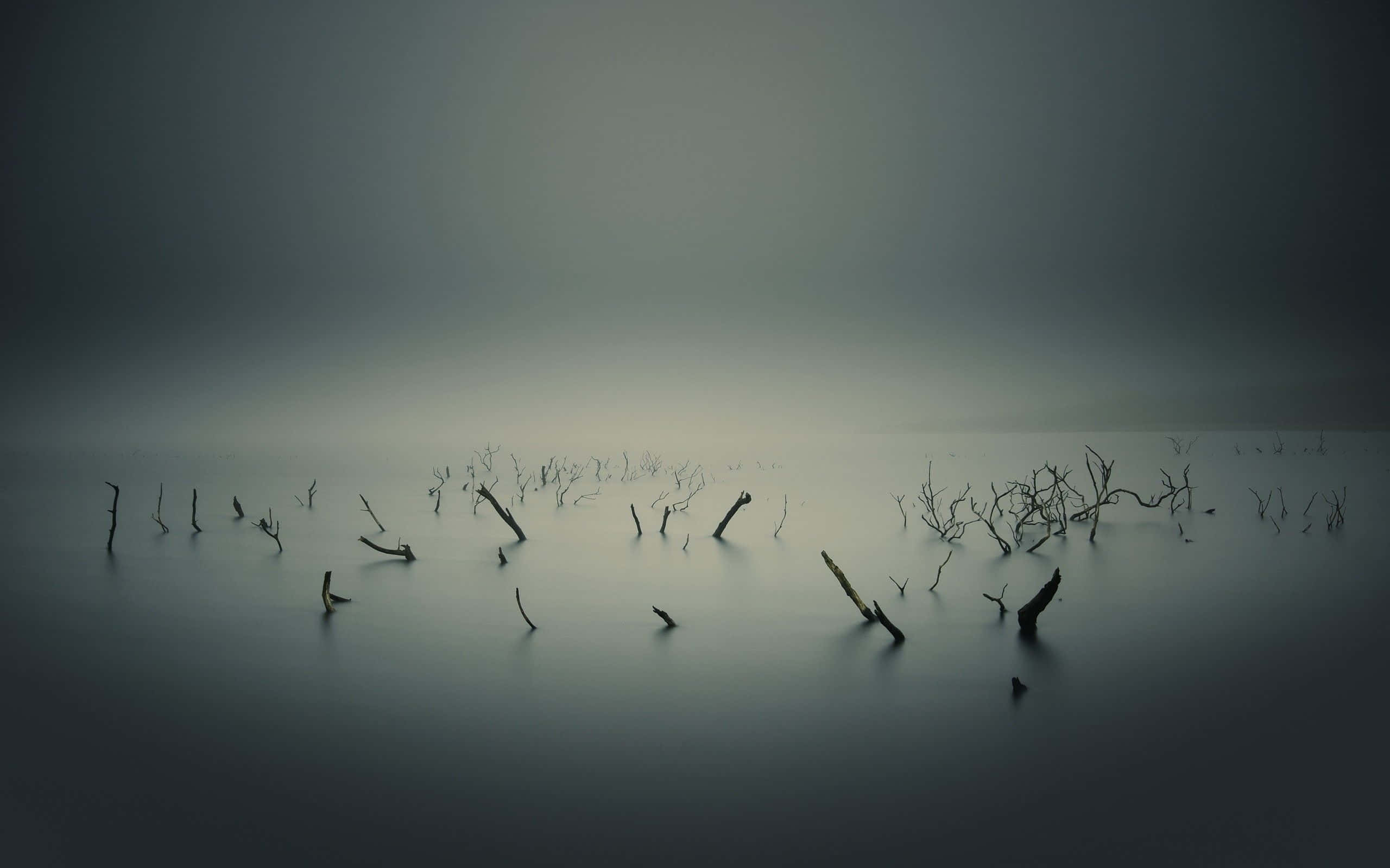 Desolate, dark lake, misty gray water, 2K Desktop Wallpaper