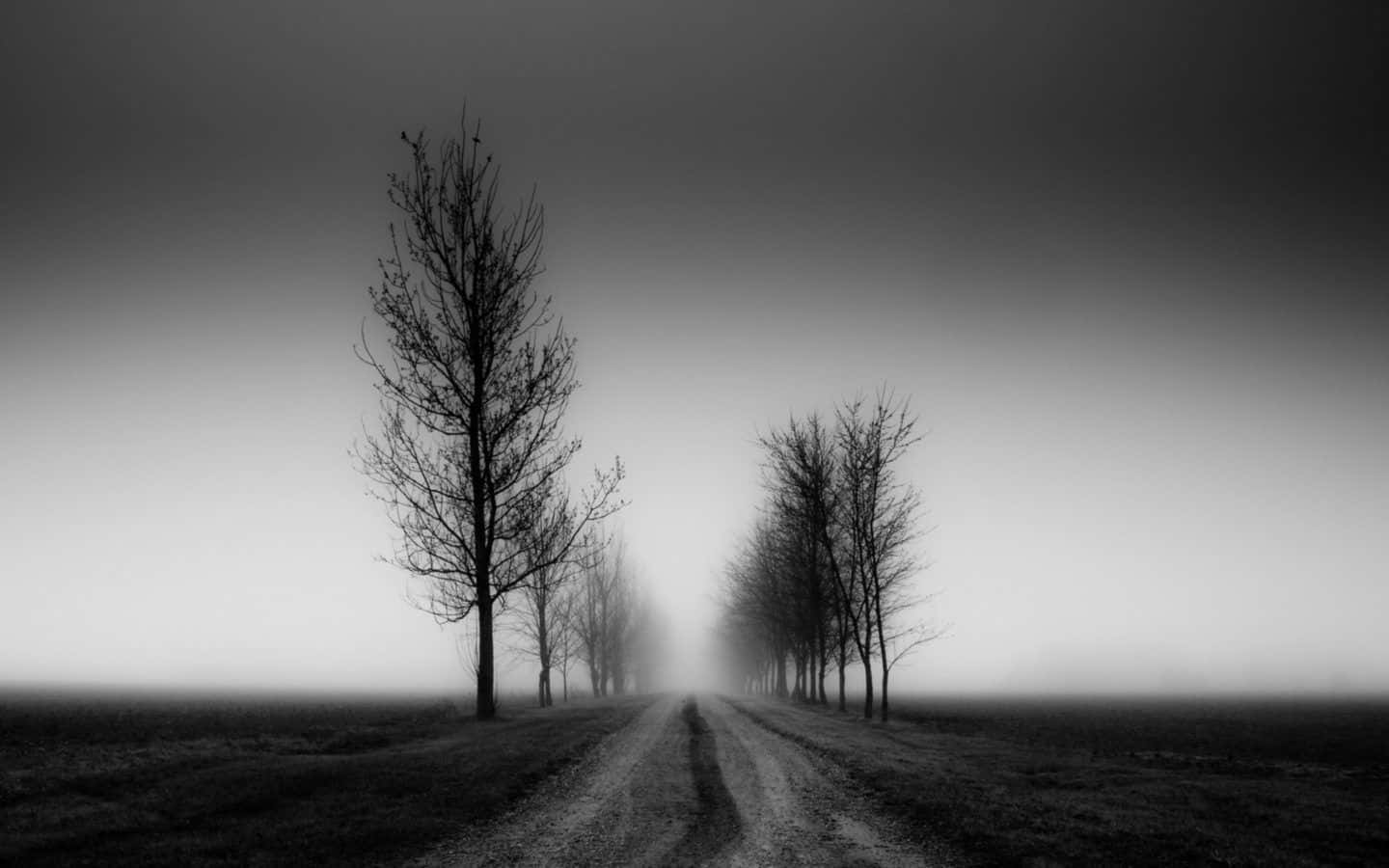 Desolate, abandoned road, monochrome, HD Desktop Wallpaper