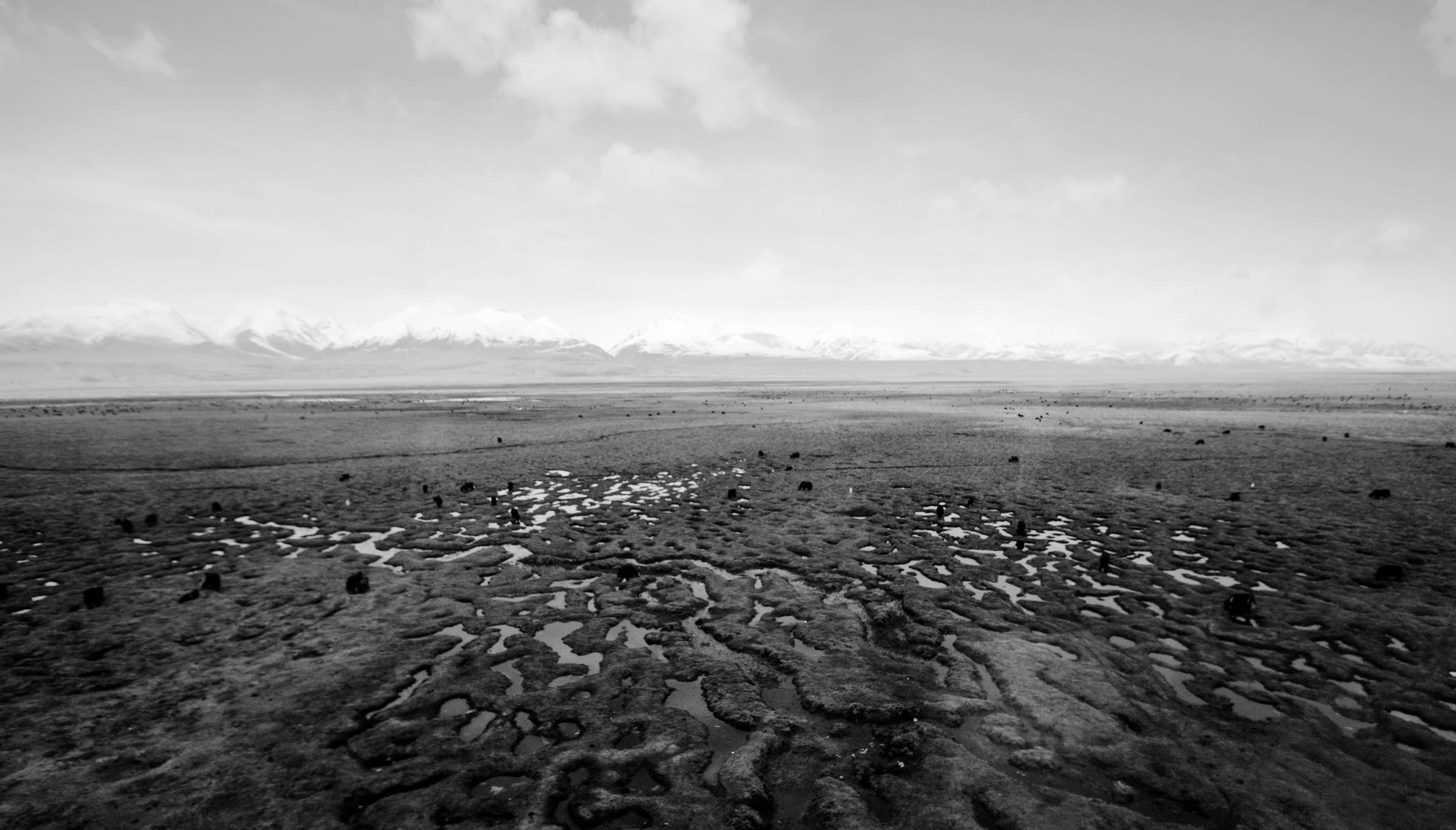 drought land, vast wetland, dark figures, 4K Desktop Wallpaper