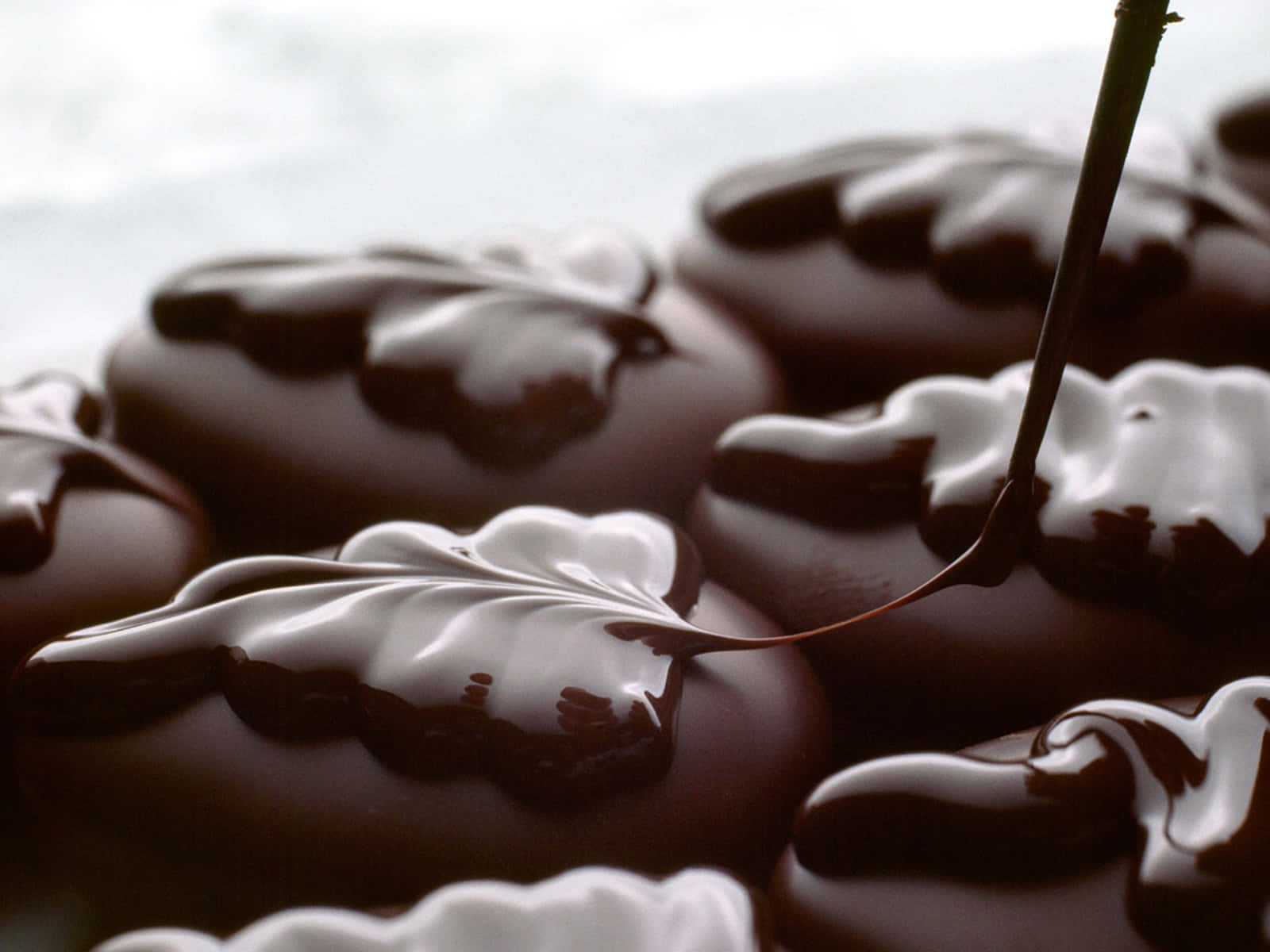 yummy chocolate candies, rich glossy chocolate, round treats, HD Desktop Wallpaper