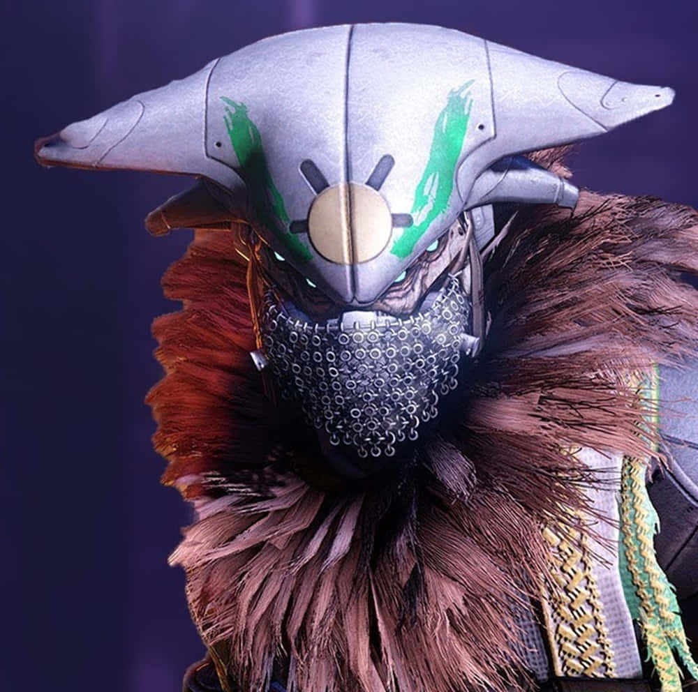 Destiny Variks, silver helmet, green markings, SD Desktop Wallpaper