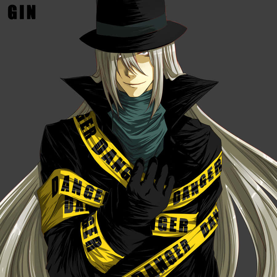 Gin, Detective Conan, silver-haired, SD Desktop Wallpaper