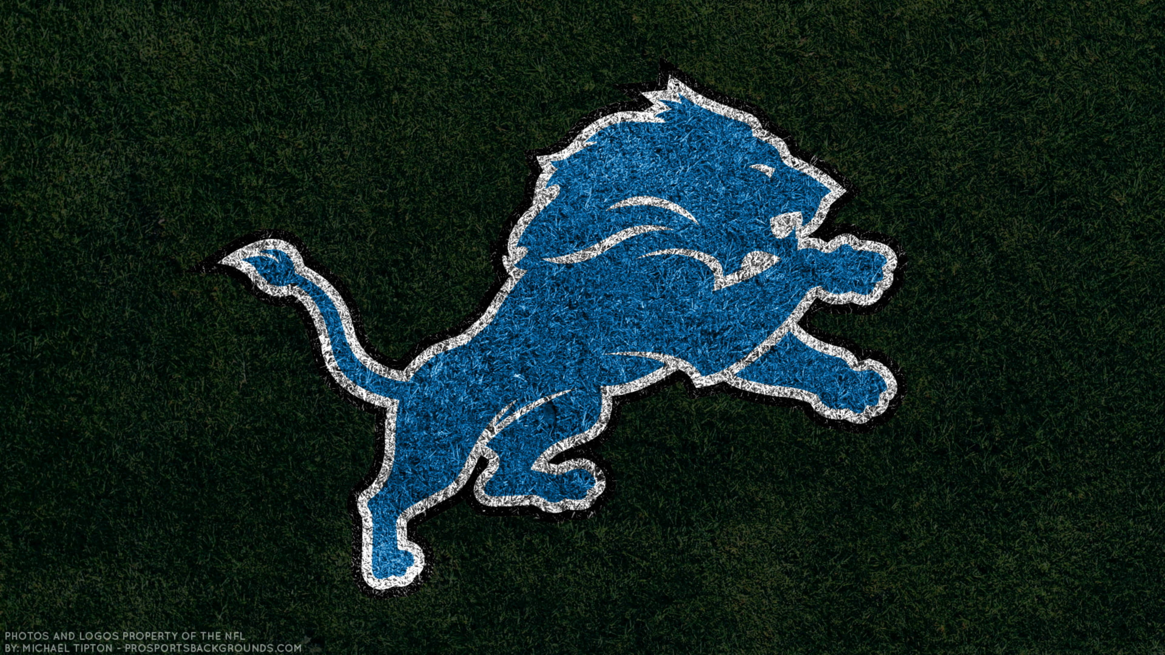 Detroit Lions, blue leaping lion logo, white outline, 4K Desktop Wallpaper