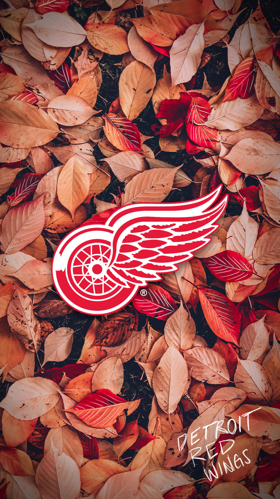 Detroit Red Wings, autumn leaves, warm reds, Full HD Phone Wallpaper