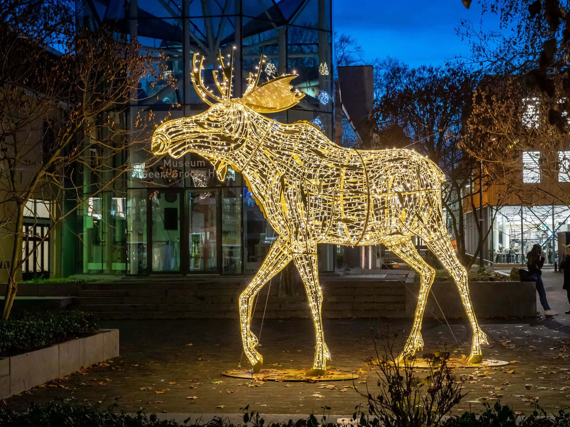 Deventer, illuminated moose sculpture, golden lights, Full HD Desktop Wallpaper