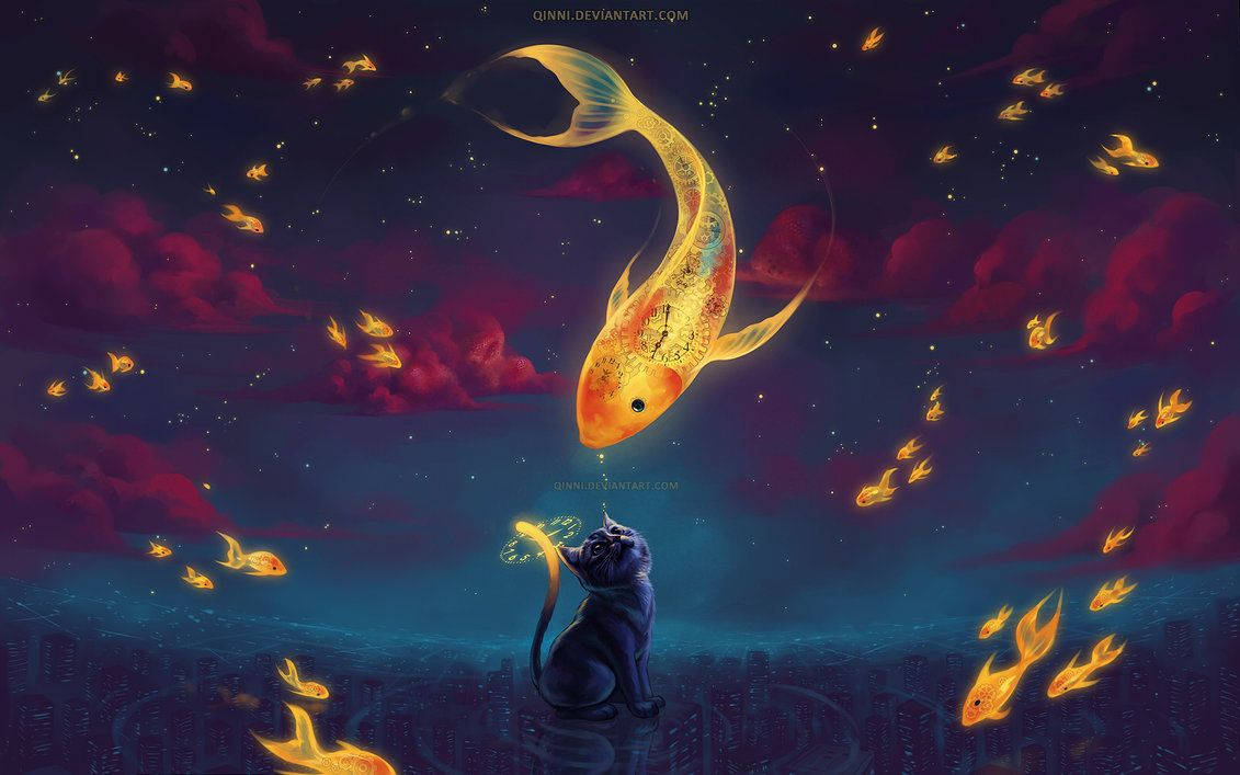 black cat, glowing golden koi fish, starry twilight sky, SD Desktop Wallpaper