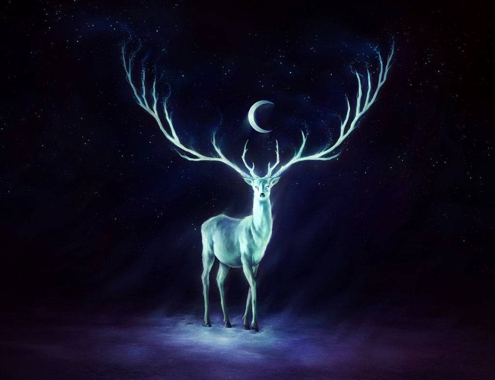 glowing white reindeer, crescent moon, starry night sky, SD Desktop Wallpaper