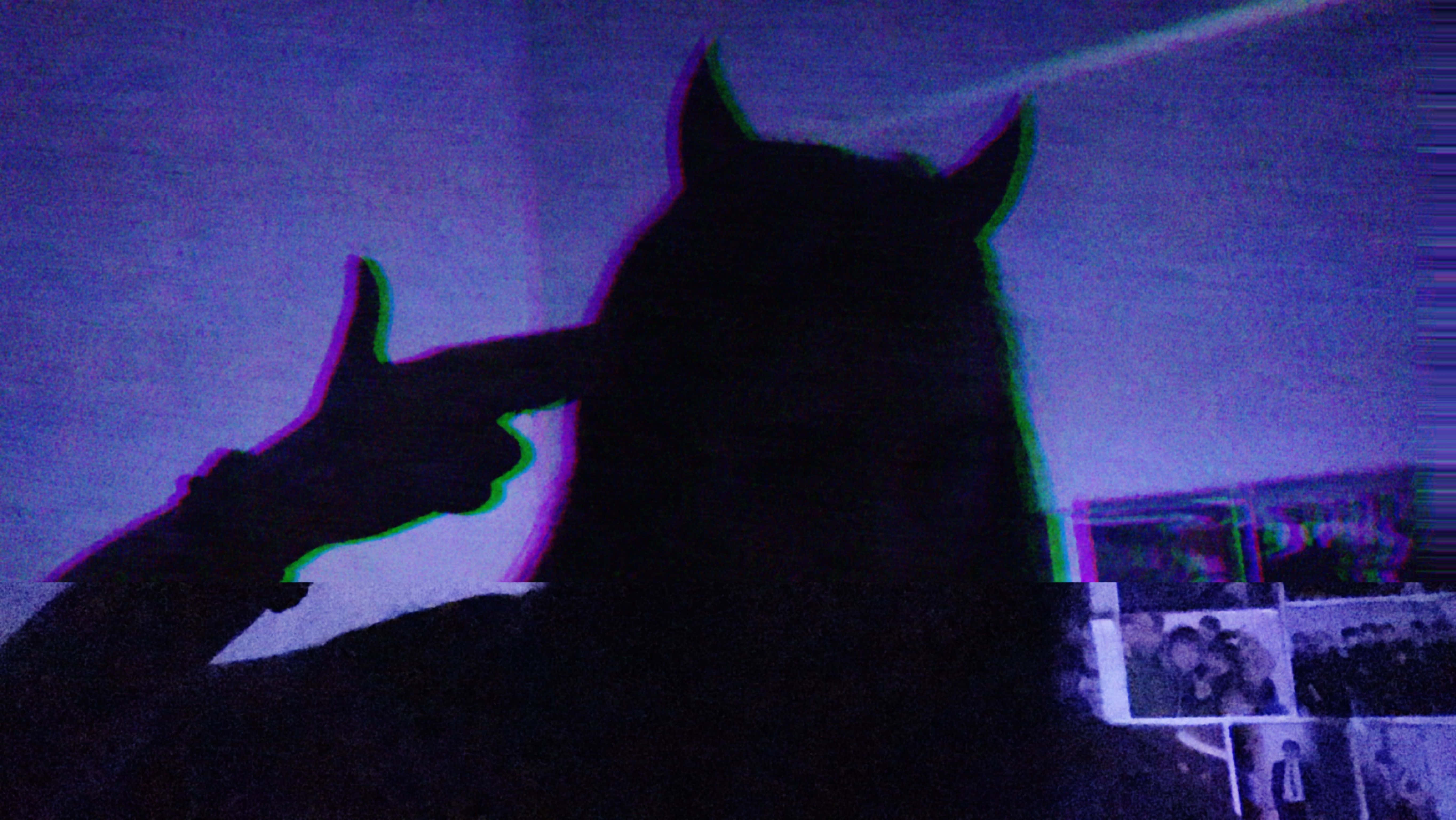 Devil Girl, purple hat, horn, 5K Desktop Wallpaper