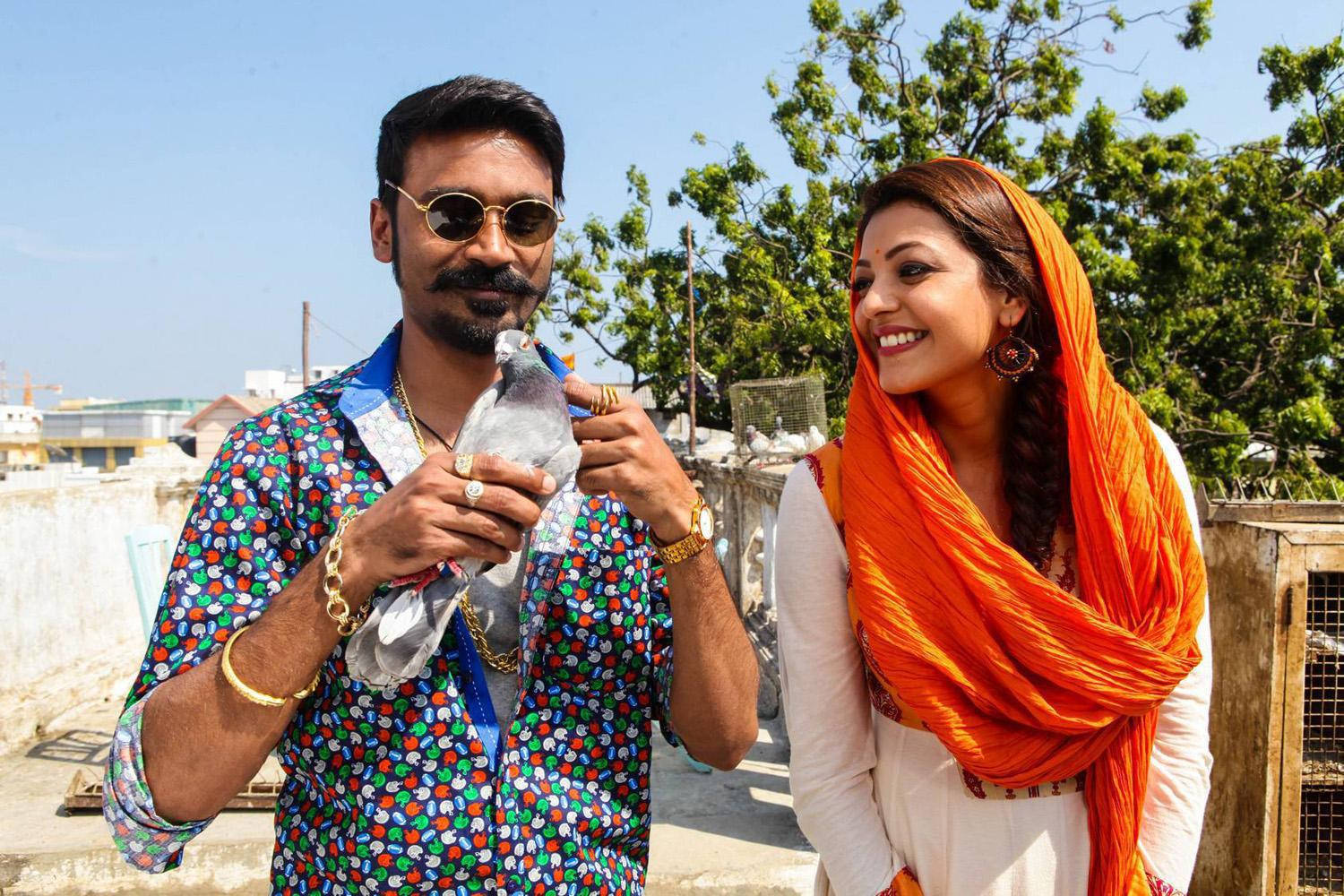 Dhanush, pigeon, colorful shirt, HD Desktop Wallpaper