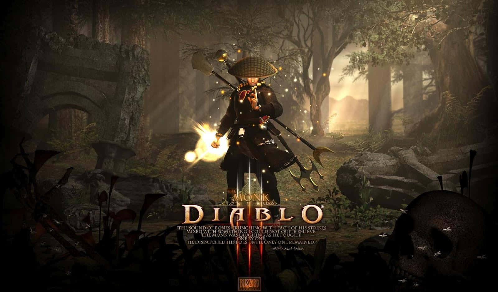 Diablo 2 Resurrected, monk warrior, bamboo hat, HD Desktop Wallpaper