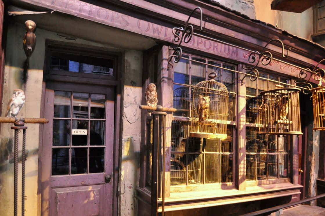 Diagon Alley, vintage owl shop, golden cages, SD Desktop Wallpaper