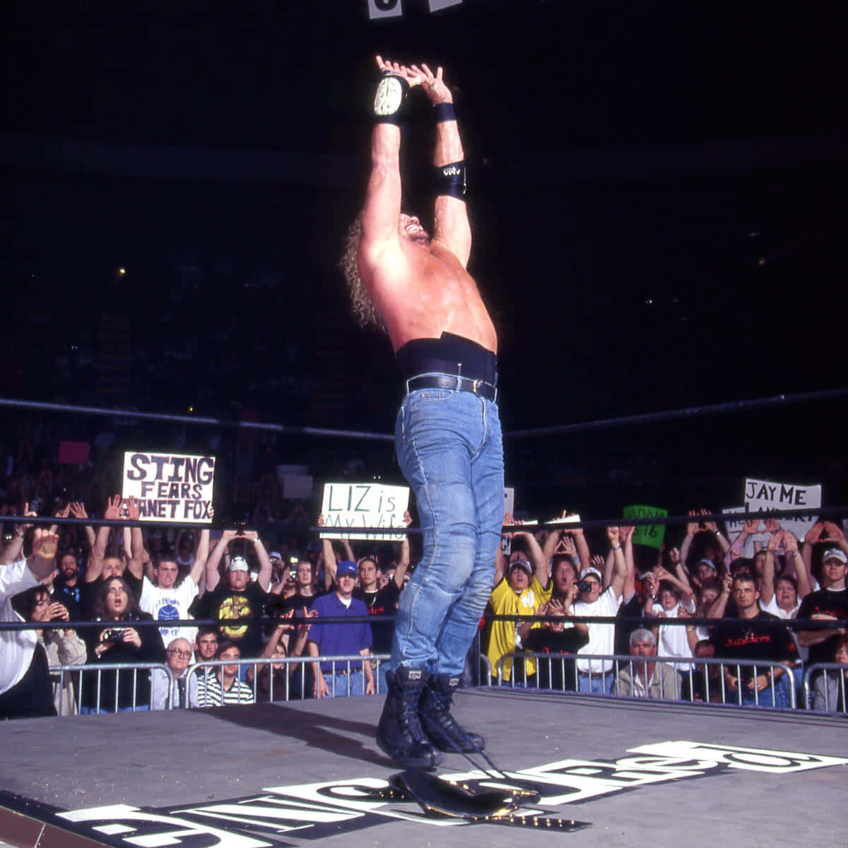 Diamond Dallas Page, wrestler, ring, SD Desktop Wallpaper