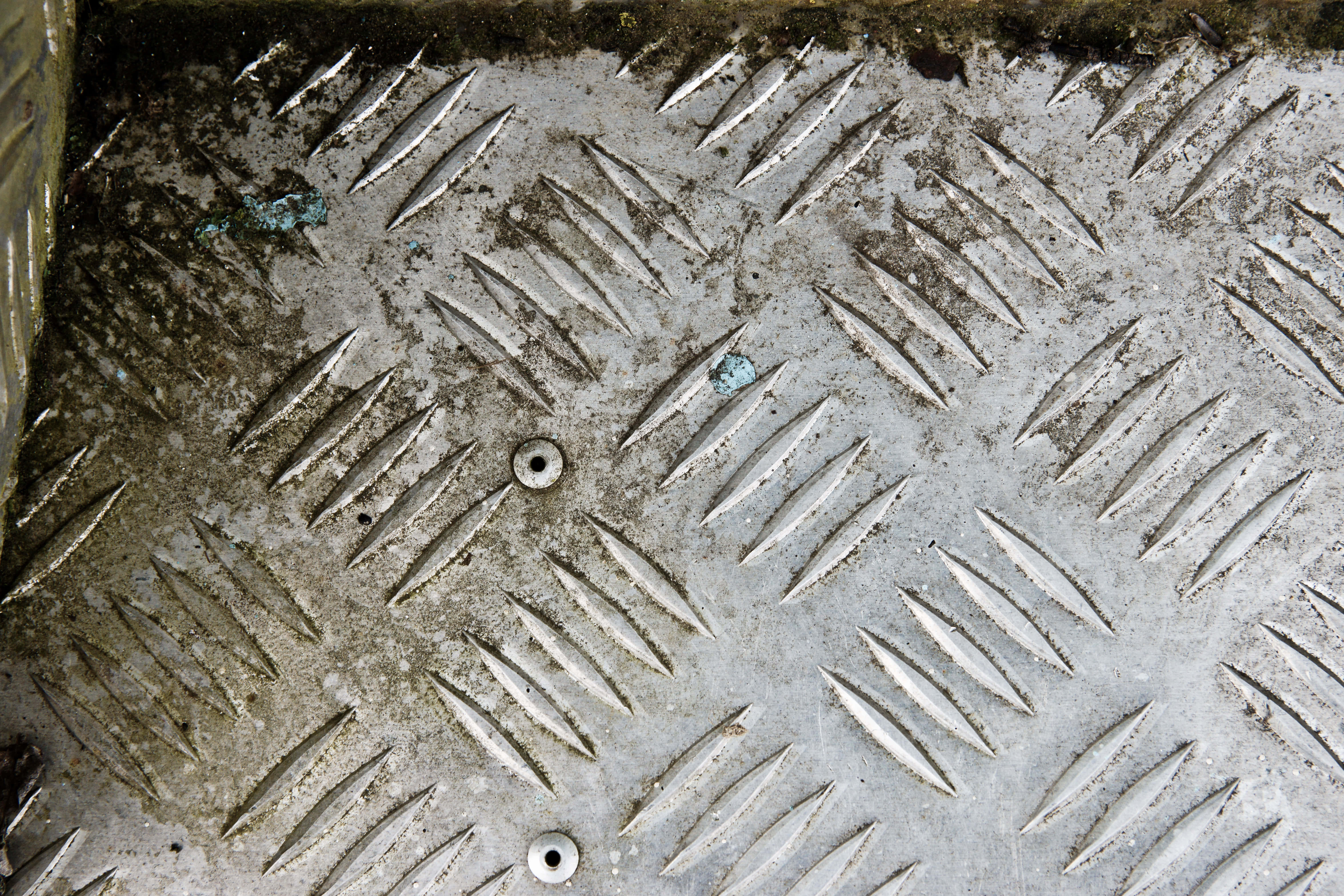 diamond plate, black dog, weathered, 5K Desktop Wallpaper