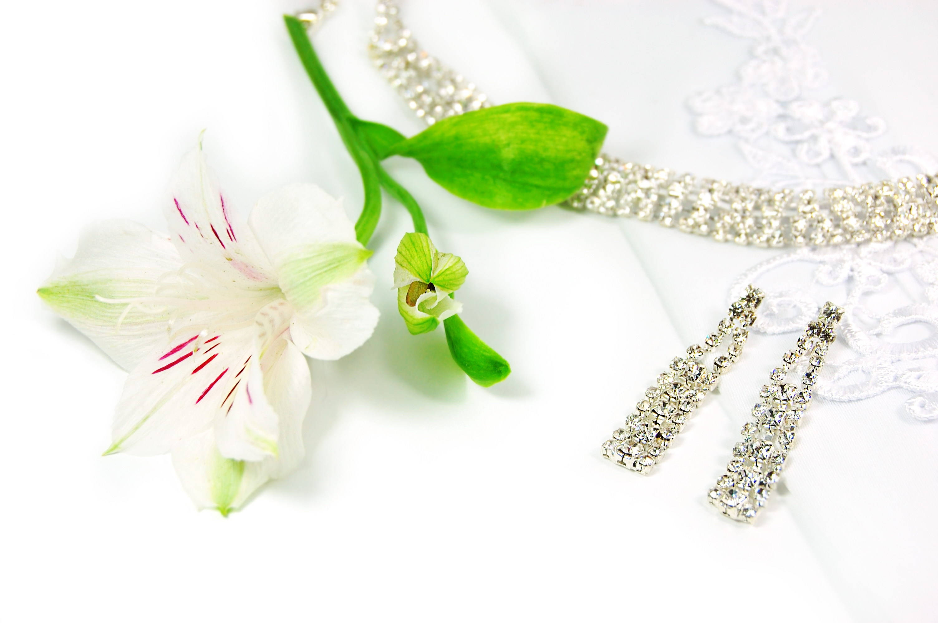diamond earrings necklace lily, white alstroemeria flower, pink stamens, 2K Desktop Wallpaper