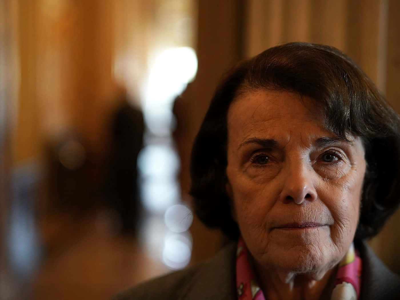 Dianne Feinstein, dark hair, pink scarf, HD Desktop Wallpaper