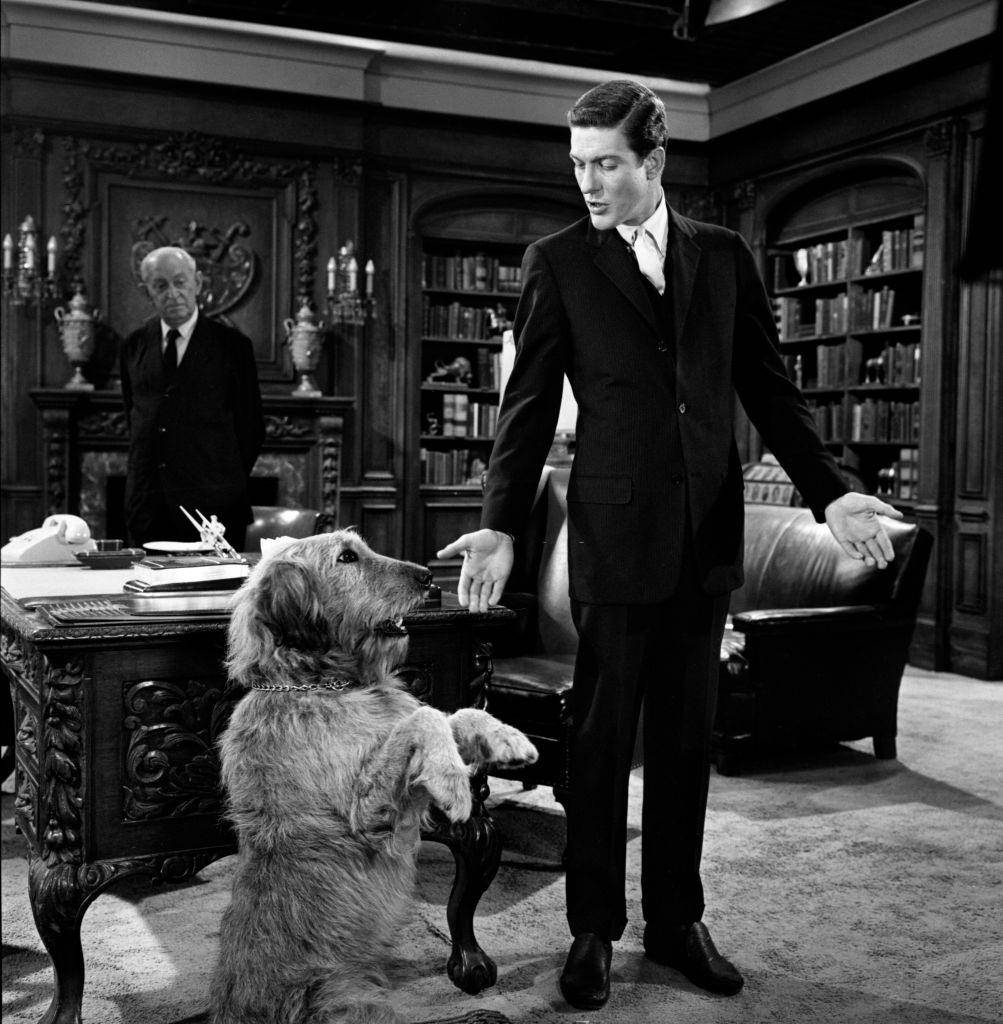 Dick Van Dyke, suit, dog, SD Phone Wallpaper