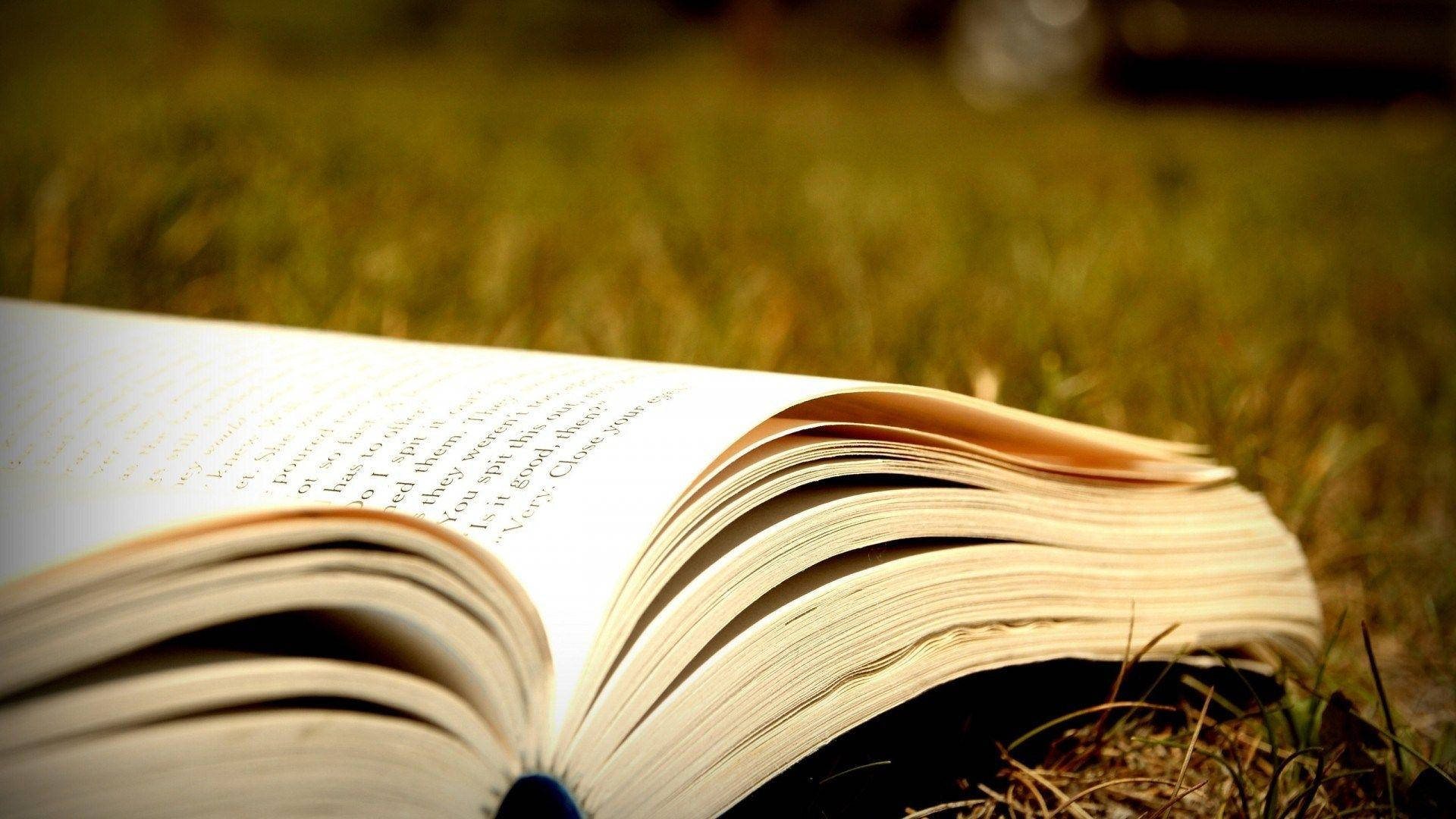 dictionary book, grass, sunlit grass, Full HD Desktop Wallpaper