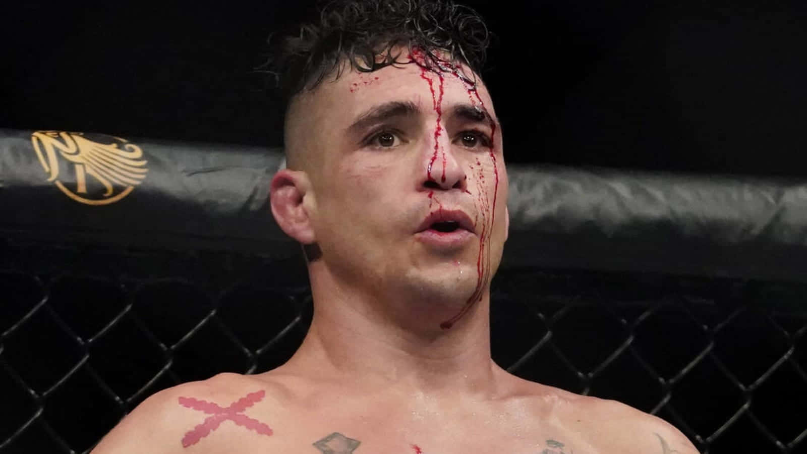 Diego Sanchez, tattooed chest, dark MMA octagon cage, HD Desktop Wallpaper
