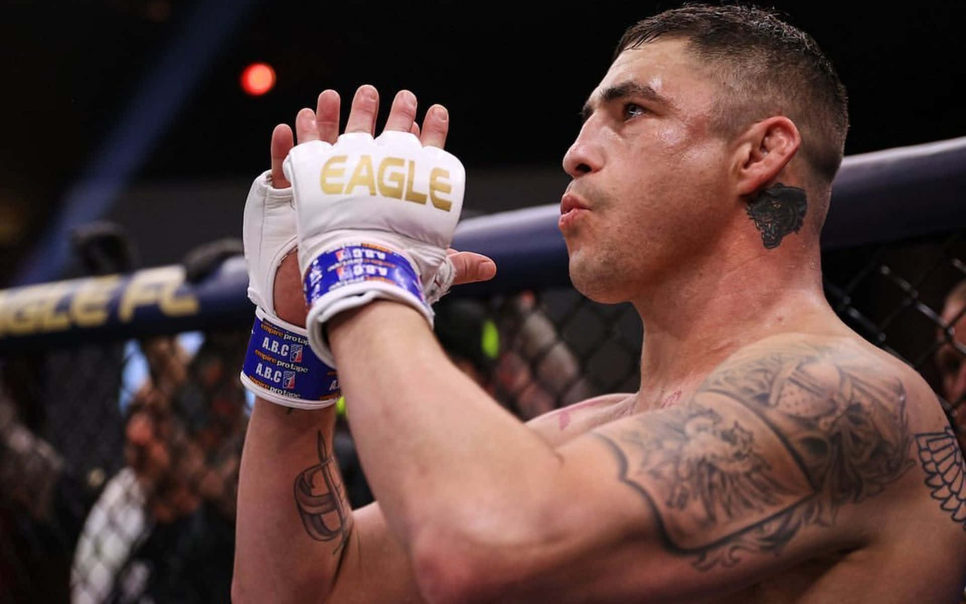 Diego Sanchez, mixed martial artist, white gloves, Full HD Desktop Wallpaper
