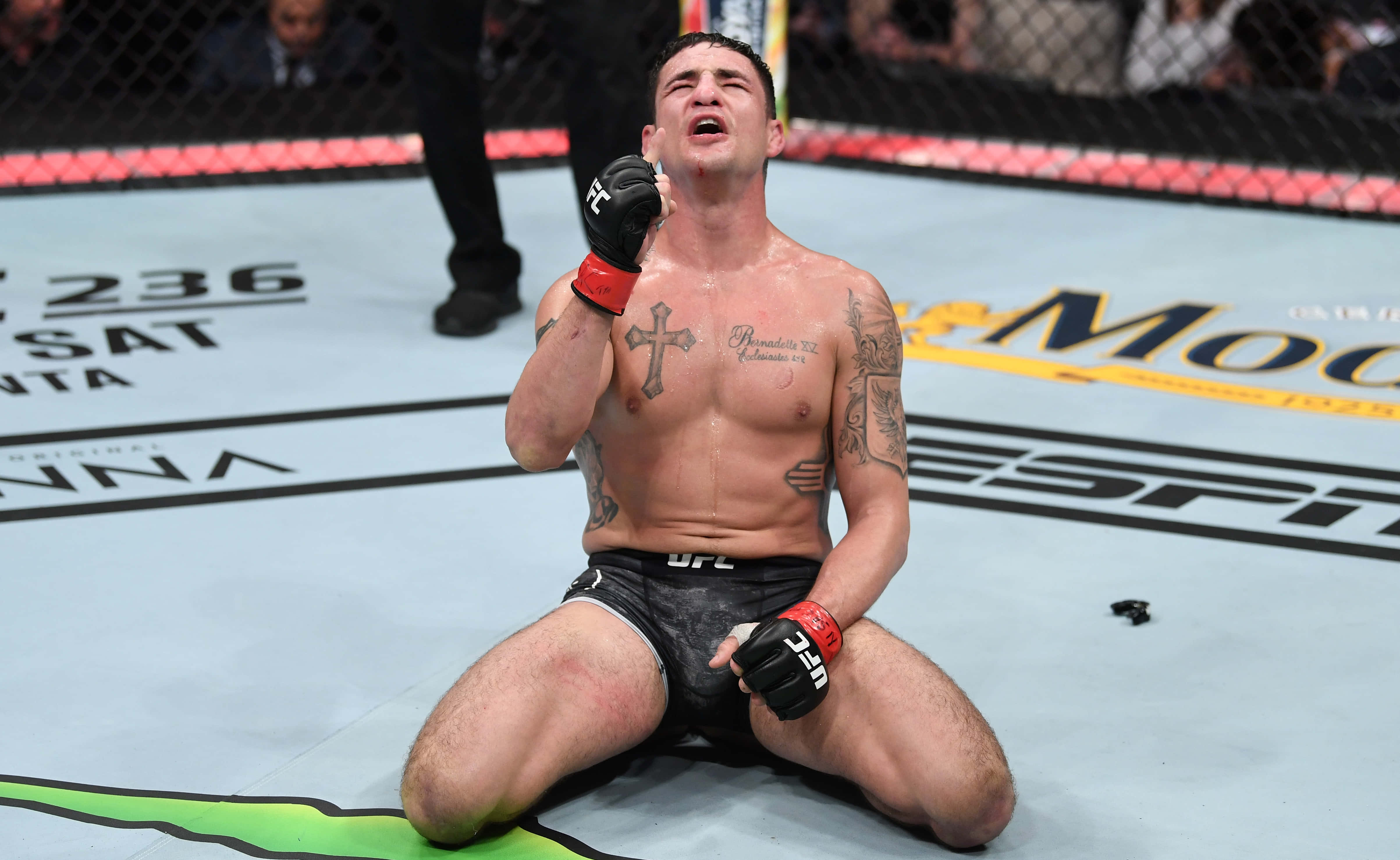 Diego Sanchez, kneeling in the cage, MMA fighter, 4K Desktop Wallpaper