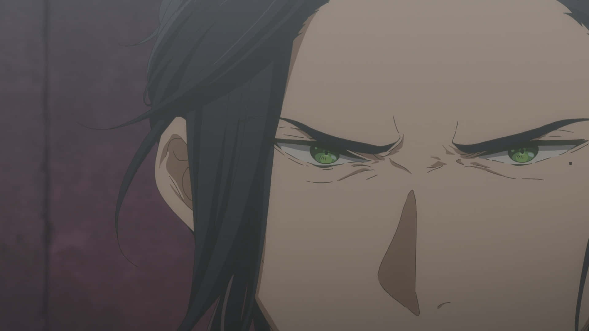Dietfried Bougainvillea, anime character, intense green eyes, Full HD Desktop Wallpaper