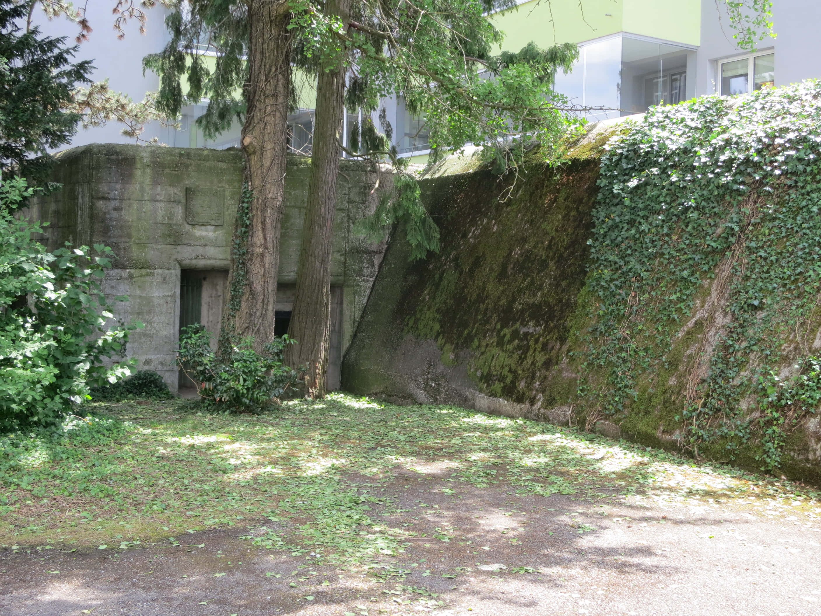 Dietikon, bunker, mossy concrete, 2K Desktop Wallpaper