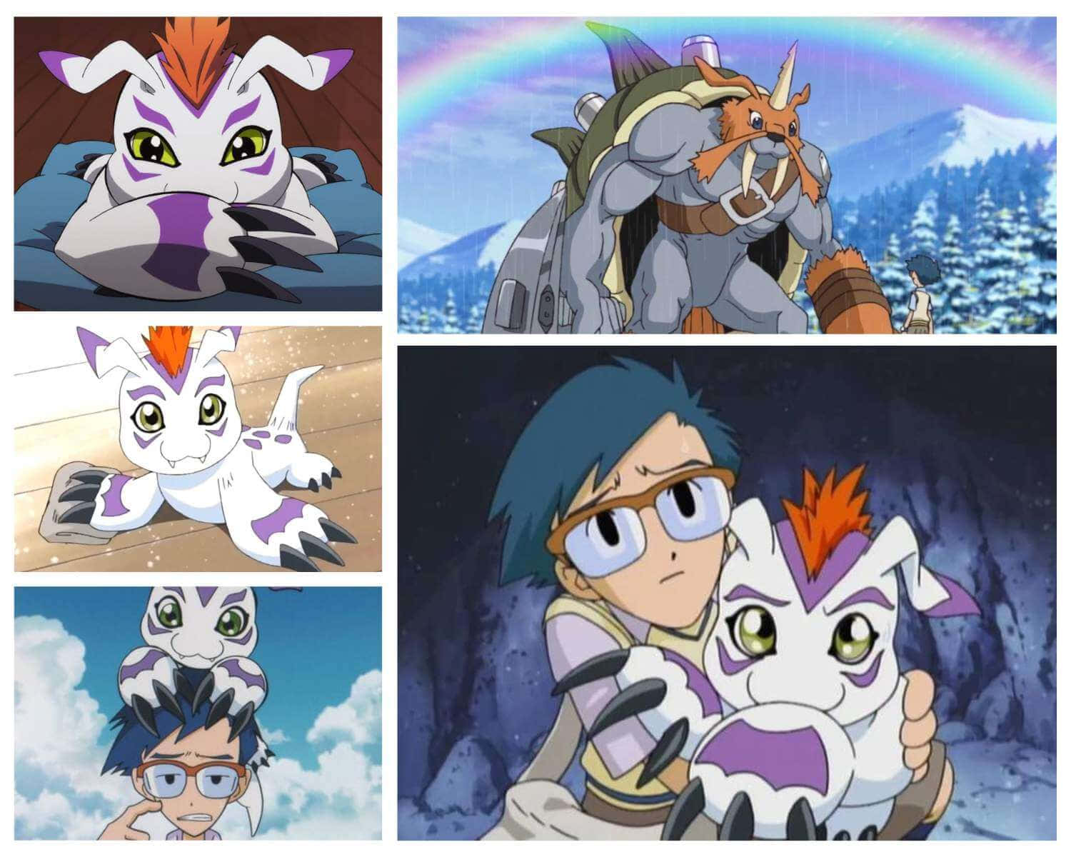 Digimon Gomamon, red boxing gloves, white and purple digimon, HD Desktop Wallpaper
