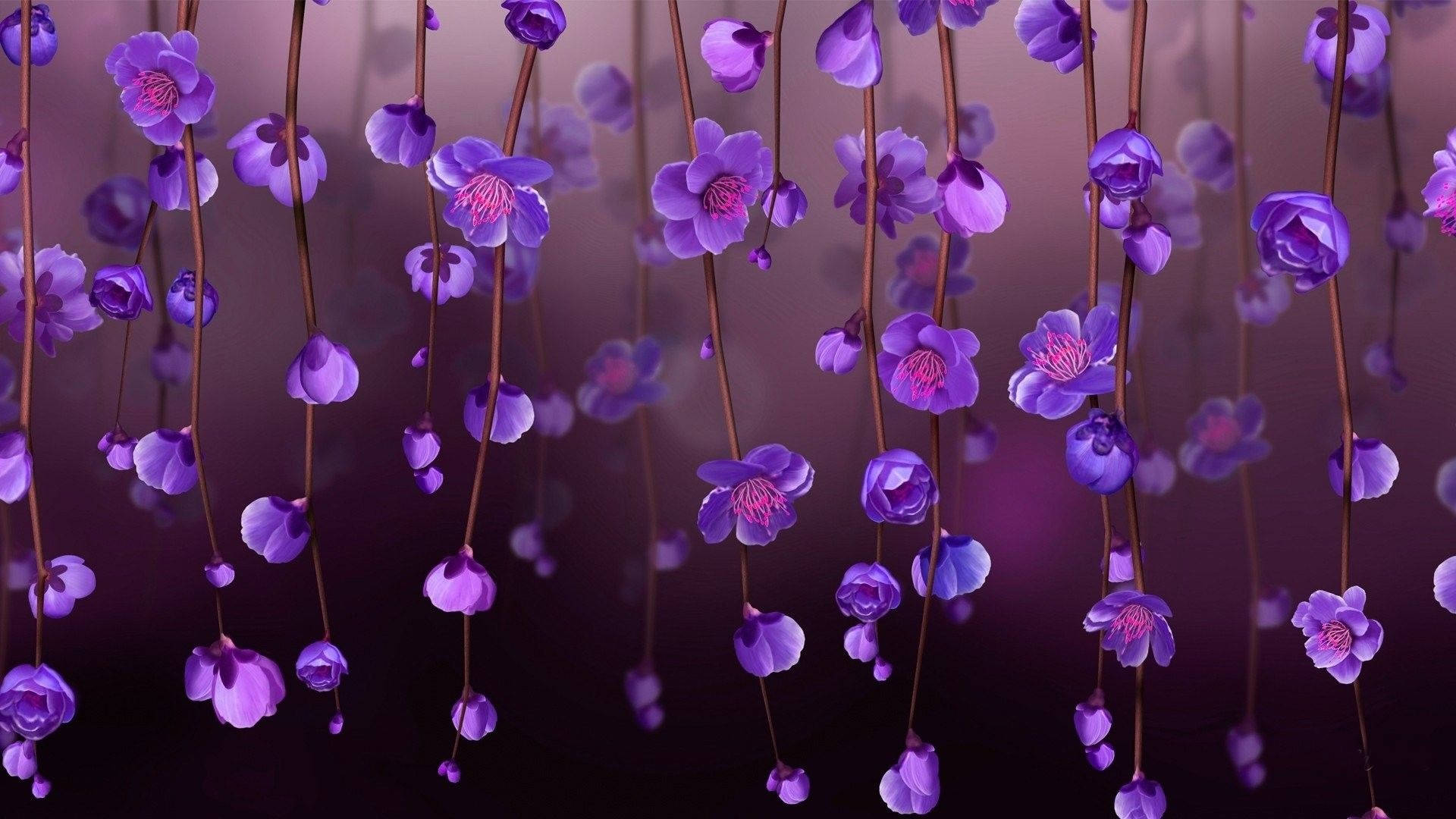 hanging purple flowers, slender stems, soft gradient purple background, Full HD Desktop Wallpaper
