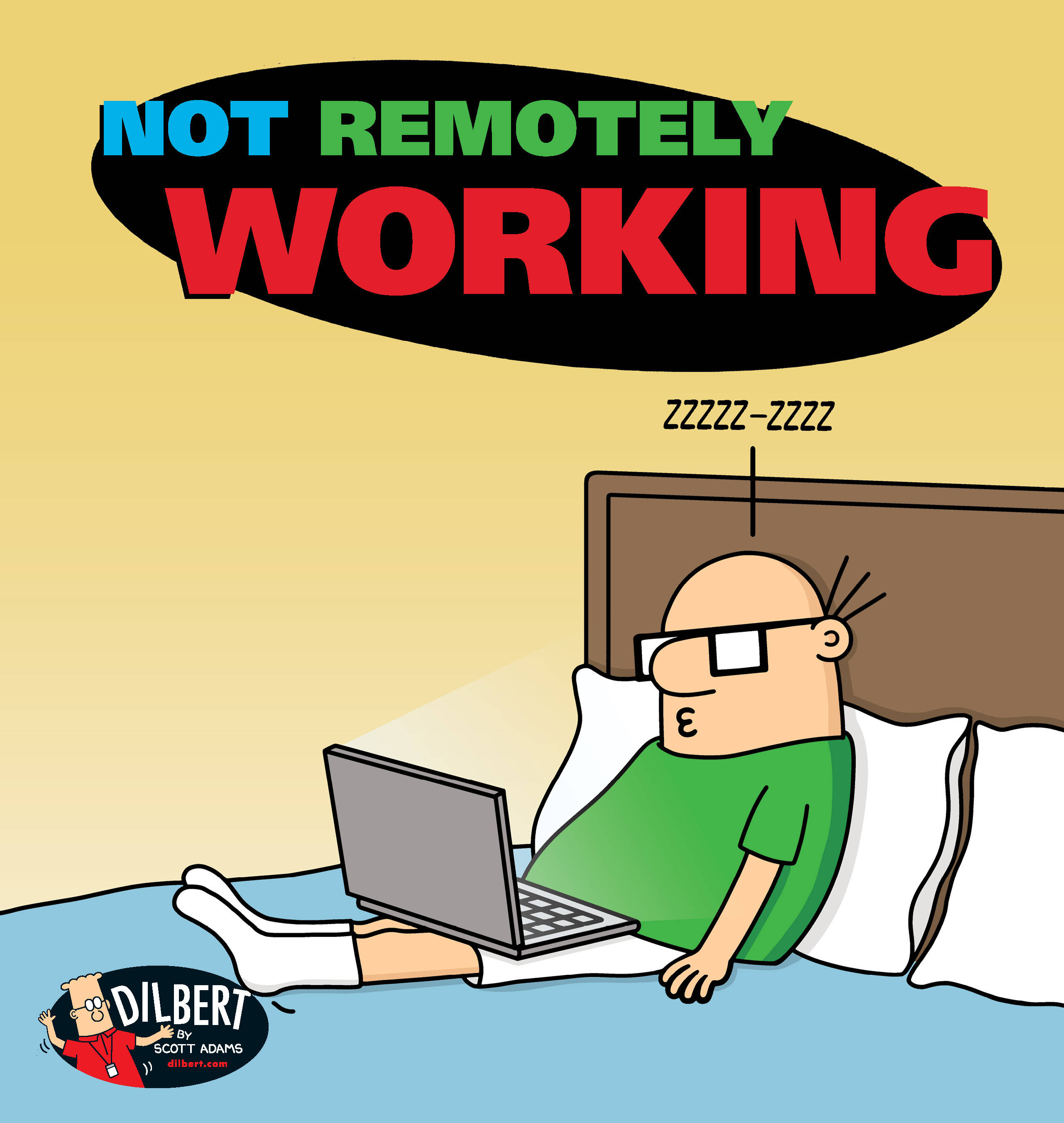 Dilbert, laptop, bed, 2K Phone Wallpaper