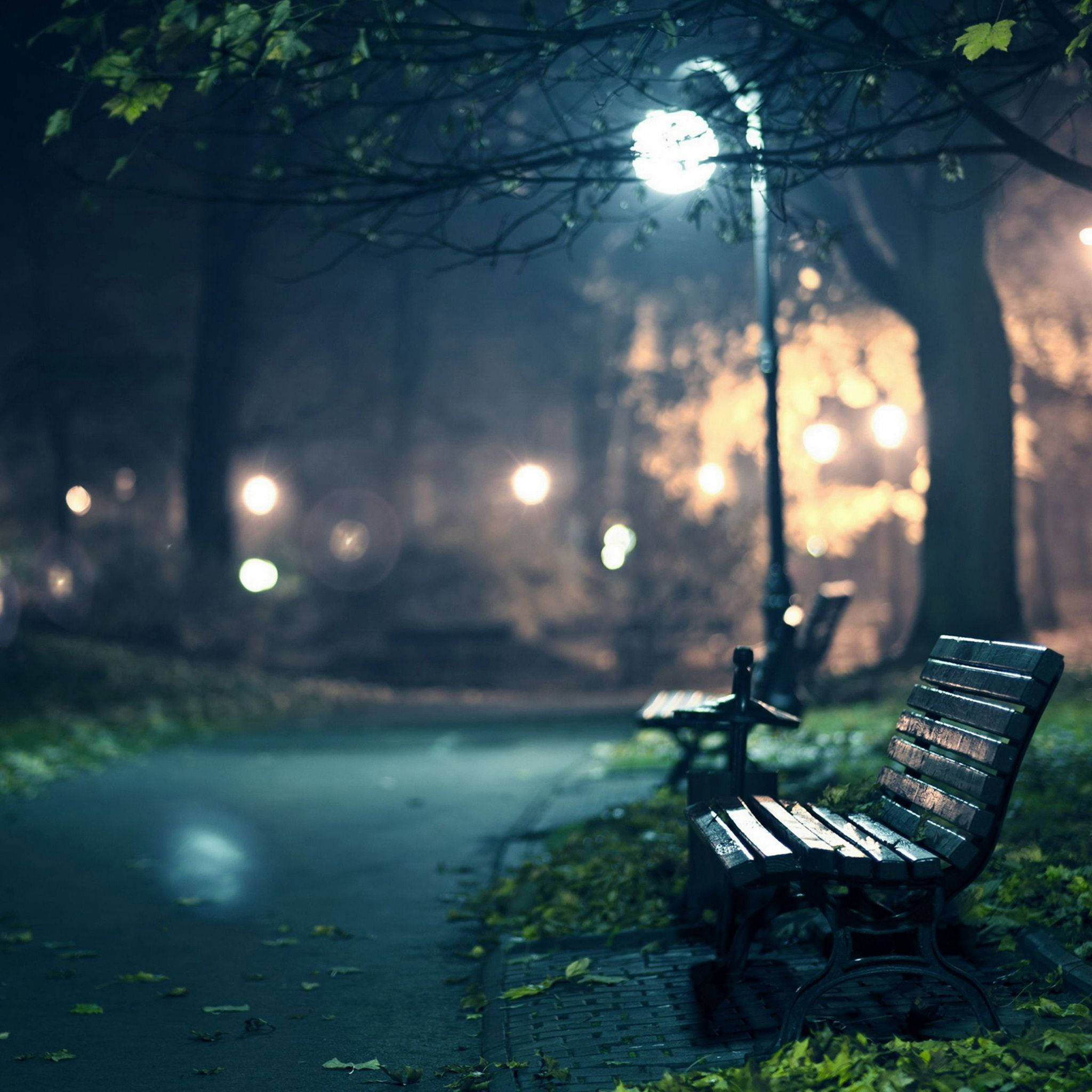 park bench, streetlights, misty autumn night, Full HD Desktop Wallpaper