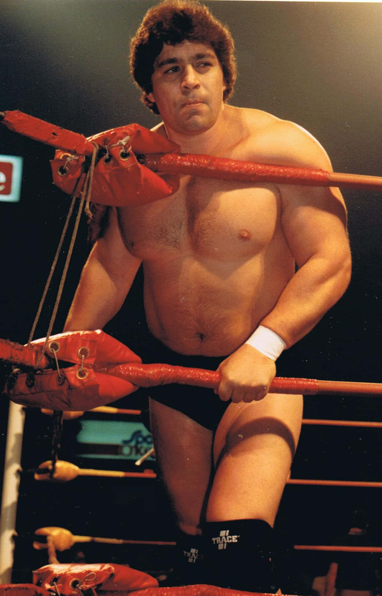 Dino Bravo, wrestling ring, red ropes, Full HD Phone Wallpaper