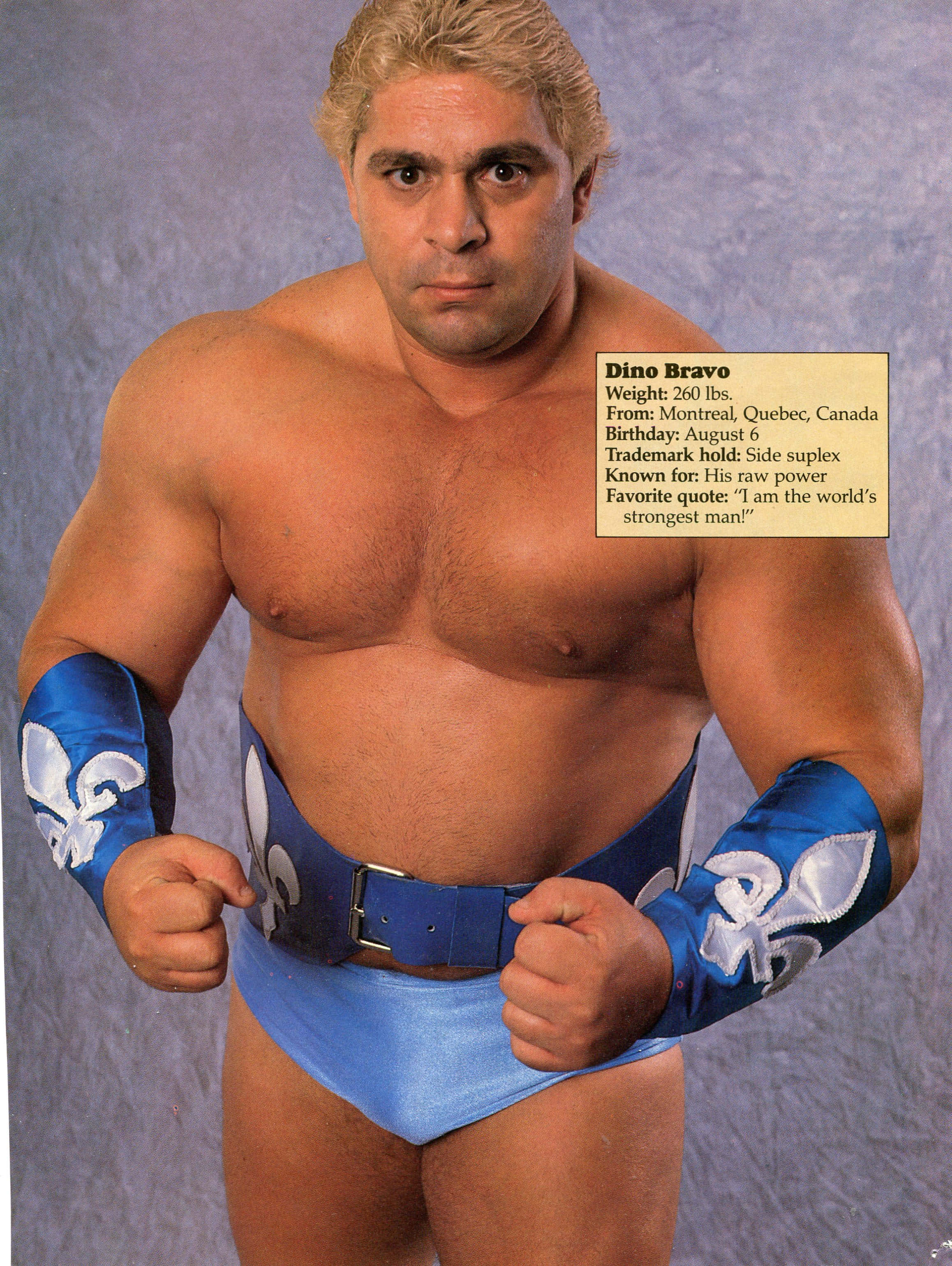 Dino Bravo, blue Quebec-themed trunks, textured gray backdrop, 2K Phone Wallpaper