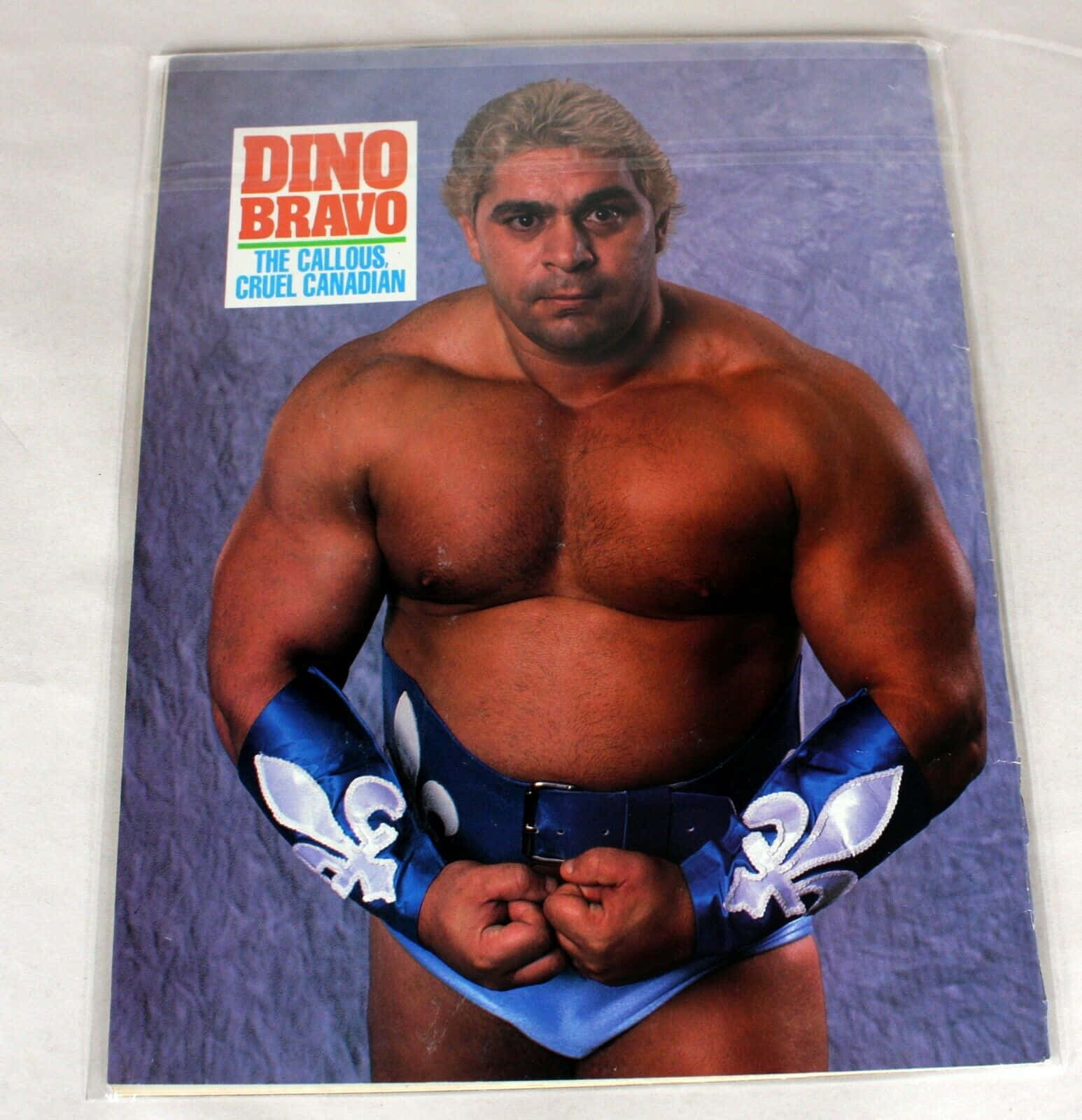 Dino Bravo, 1990 Classic WWF Card, blue trunks, HD Phone Wallpaper
