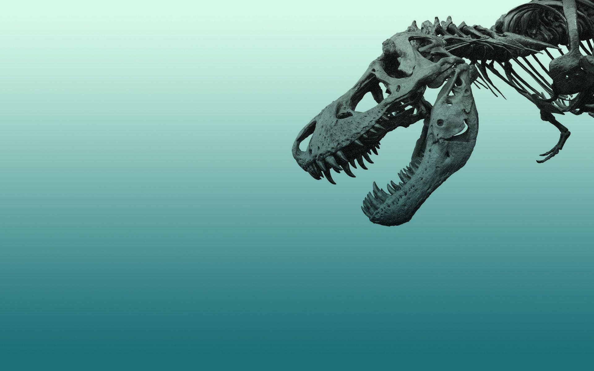 blue dinosaur, skeletal dinosaur, teal background, Full HD Desktop Wallpaper