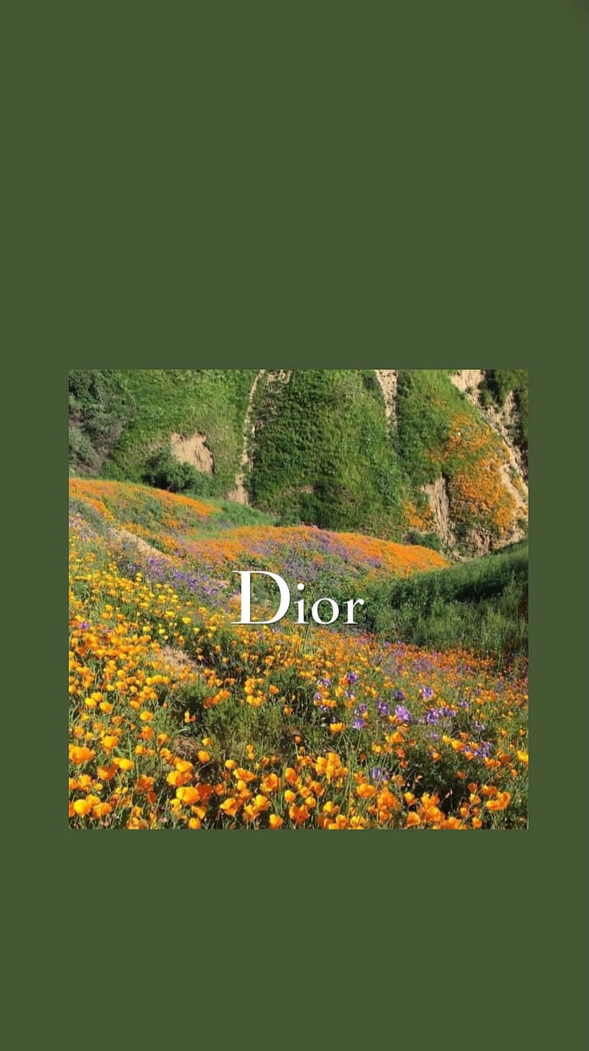 Dior, orange yellow, purple, HD Phone Wallpaper