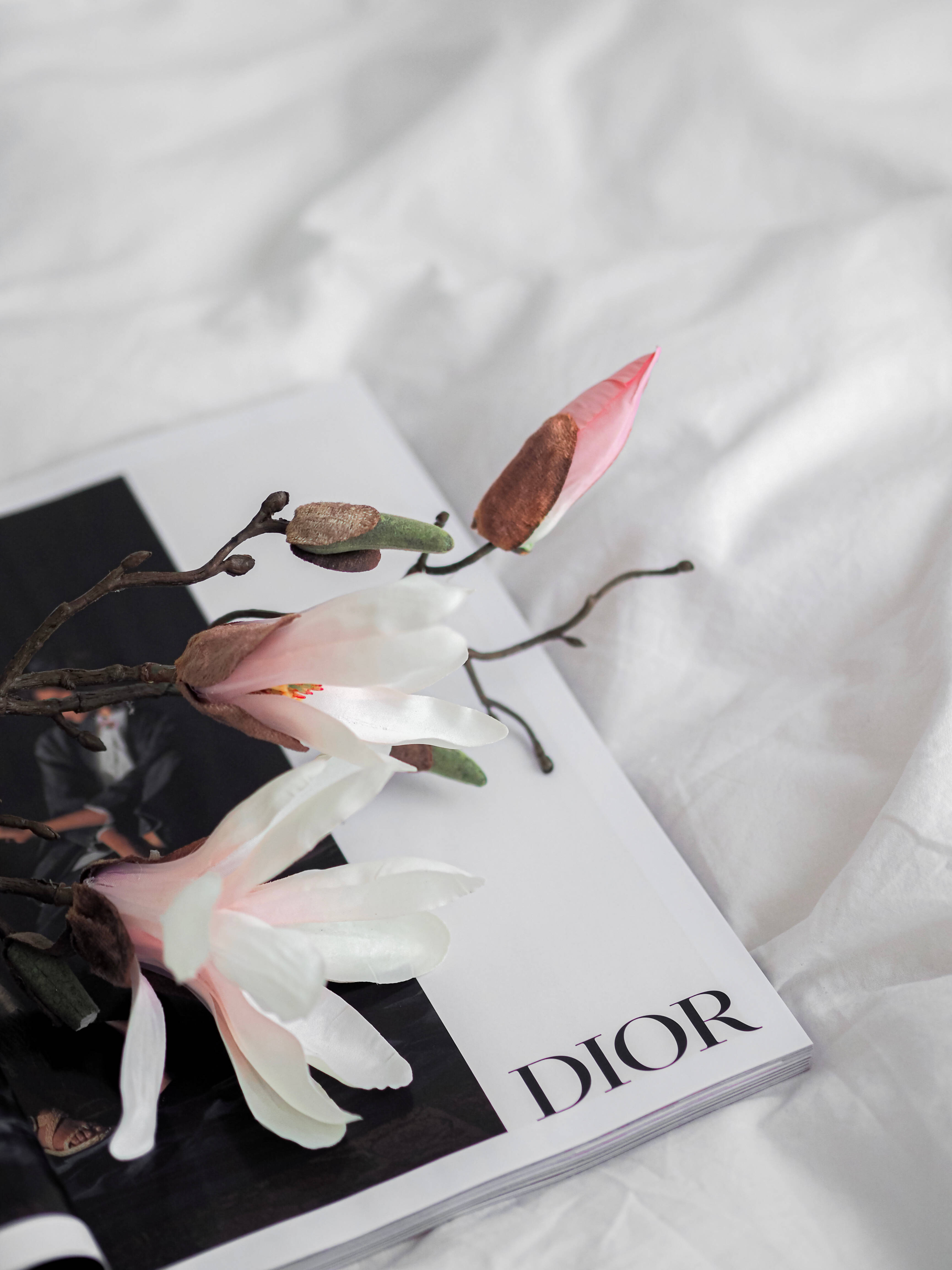 Dior, Magnolia Flower, pink, 4K Phone Wallpaper